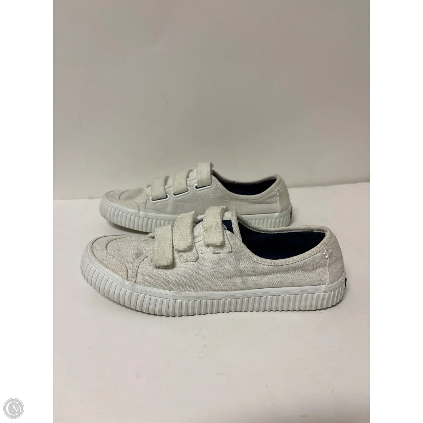 Shoes Sneakers By Sperry In White, Size: 8.5