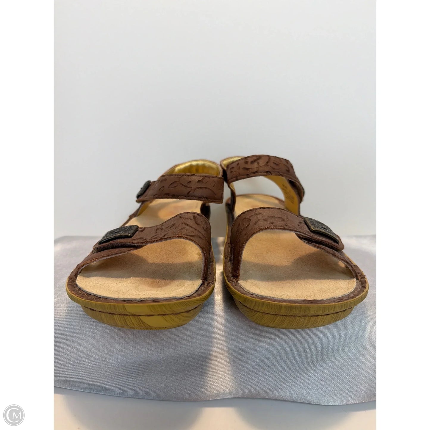 Sandals Flats By Alegria In Brown, Size: 8.5