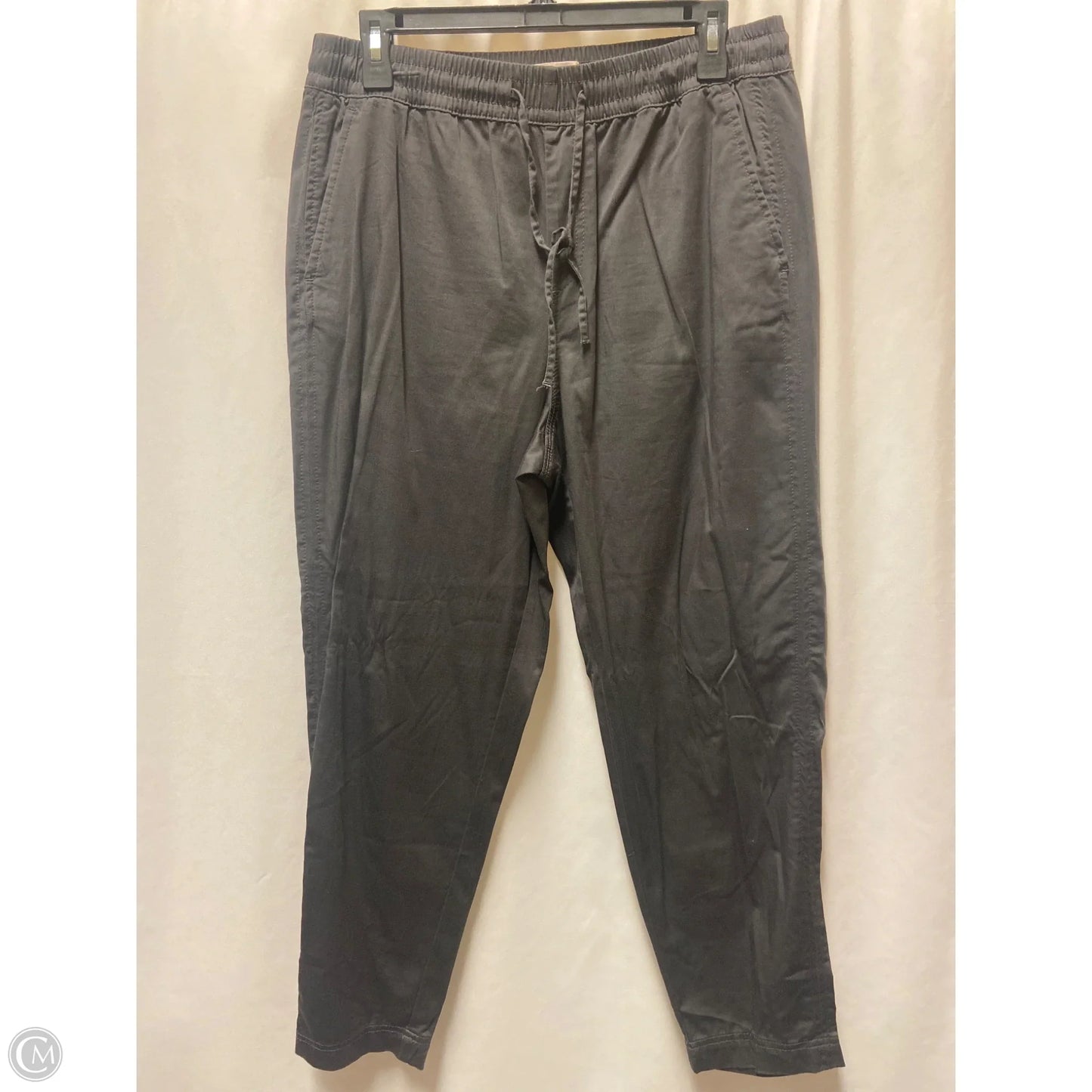Pants Other By Lou And Grey In Grey, Size: M