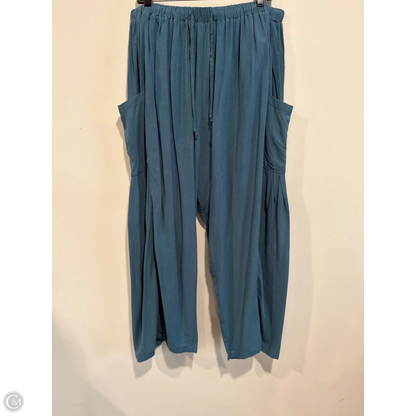 Pants Other By Clothes Mentor In Aqua, Size: Xl