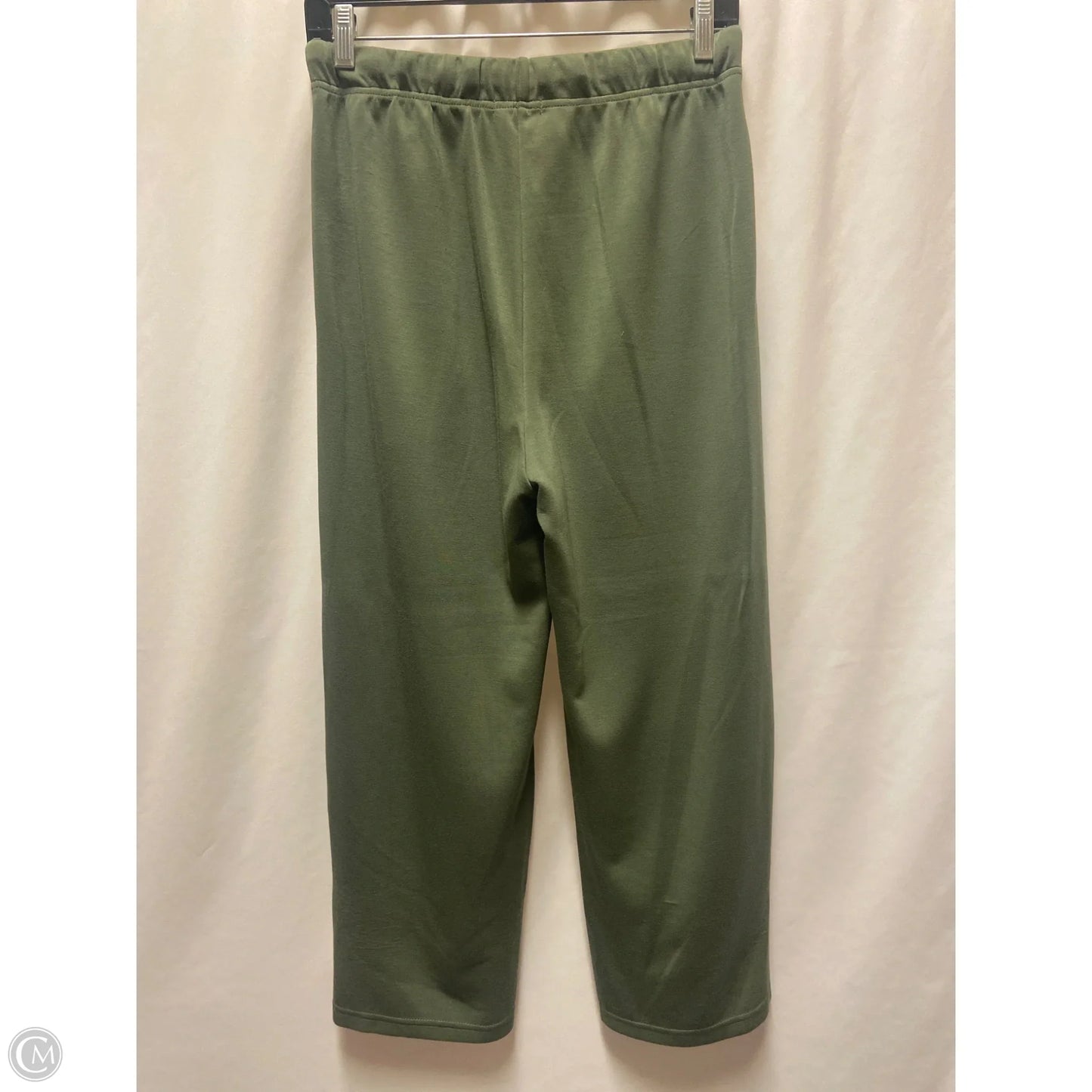 Pants Set 2pc By Clothes Mentor In Green, Size: M