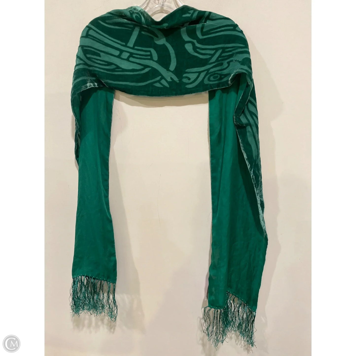Scarf Long By Clothes Mentor