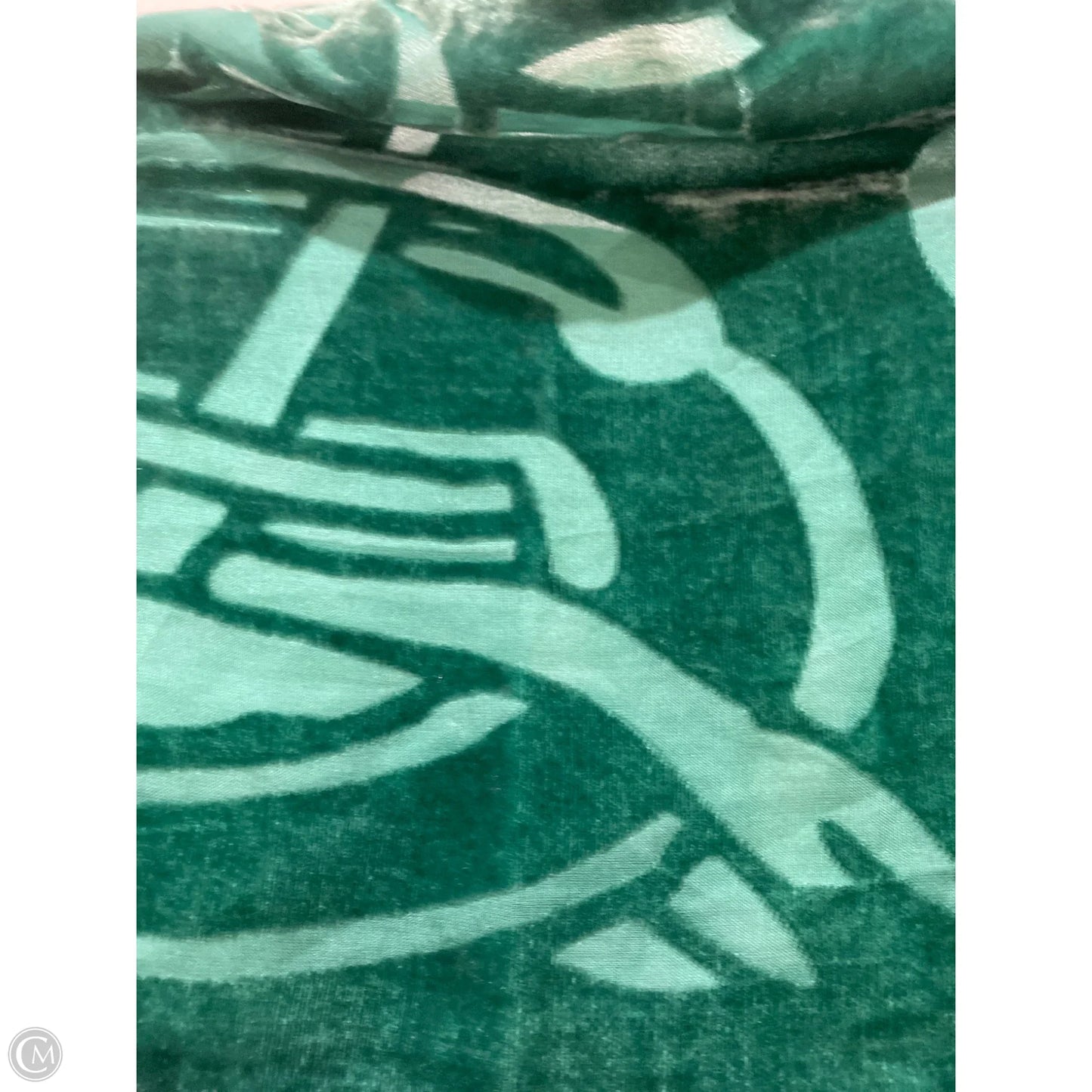 Scarf Long By Clothes Mentor