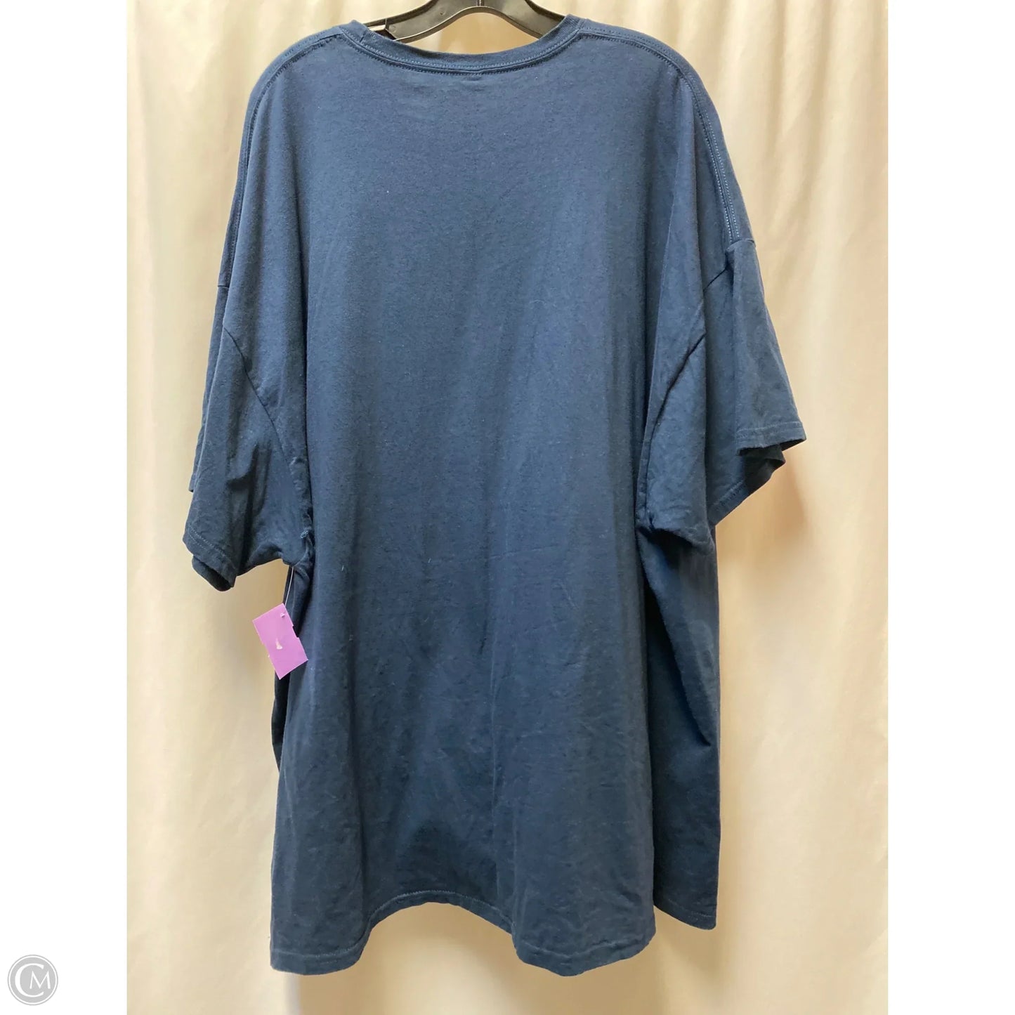 Top Short Sleeve By Clothes Mentor In Blue, Size: 4x