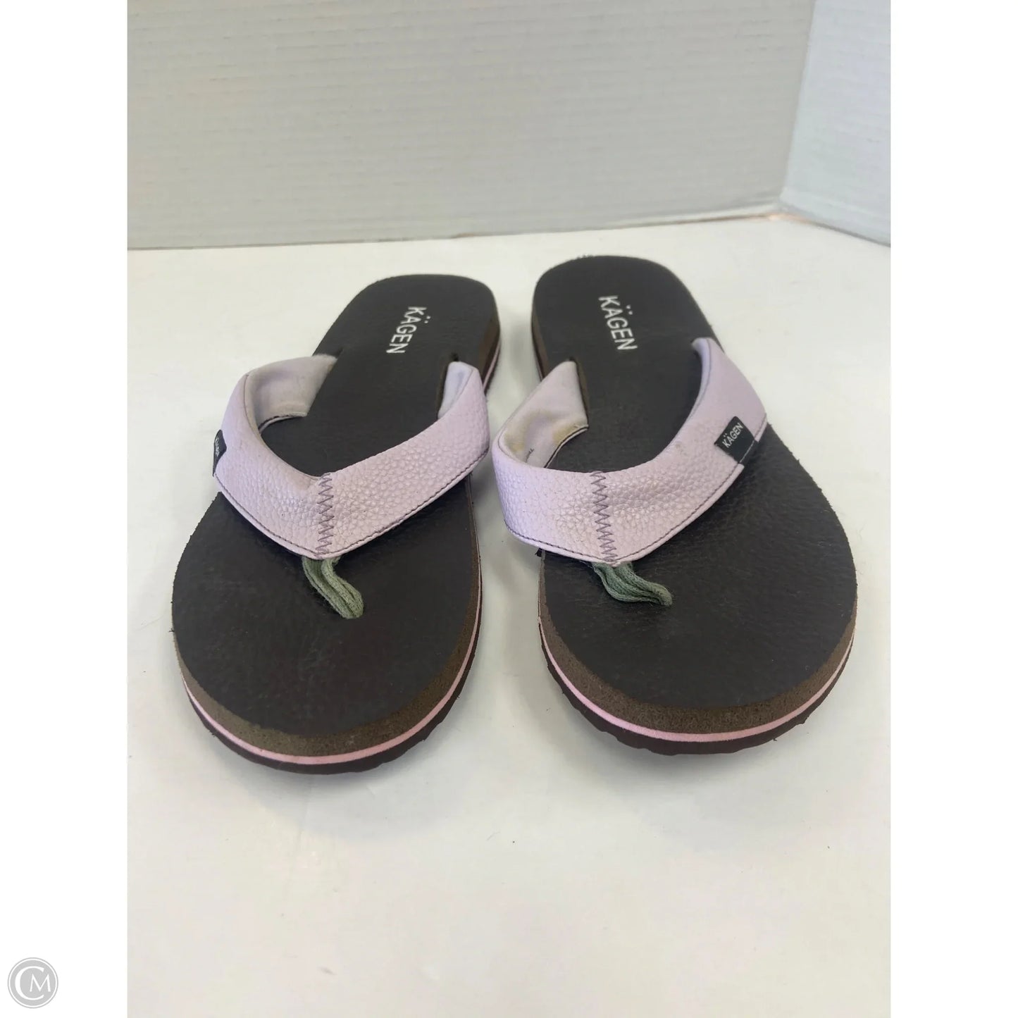 Sandals Flip Flops By Clothes Mentor In Purple, Size: 9