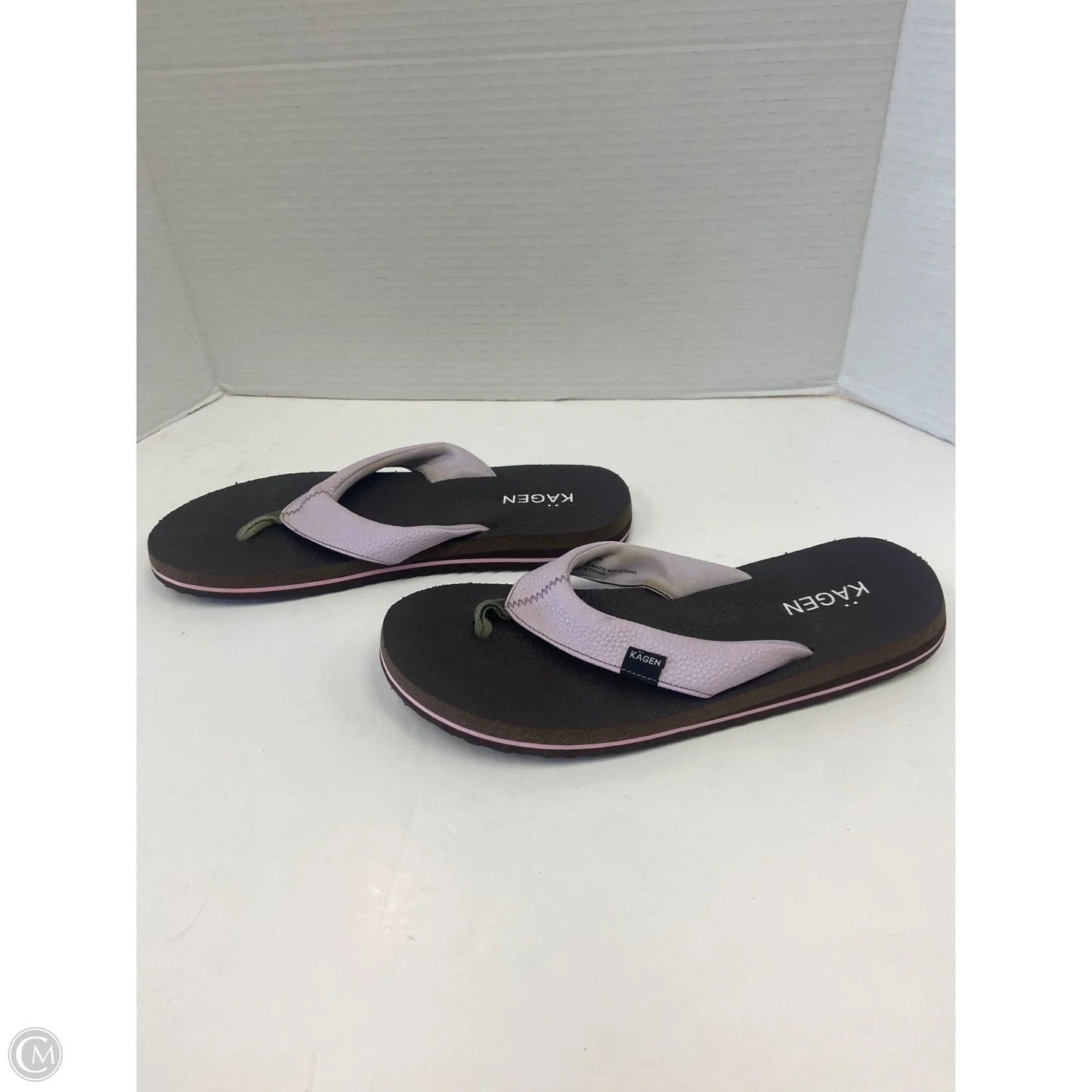 Sandals Flip Flops By Clothes Mentor In Purple, Size: 9