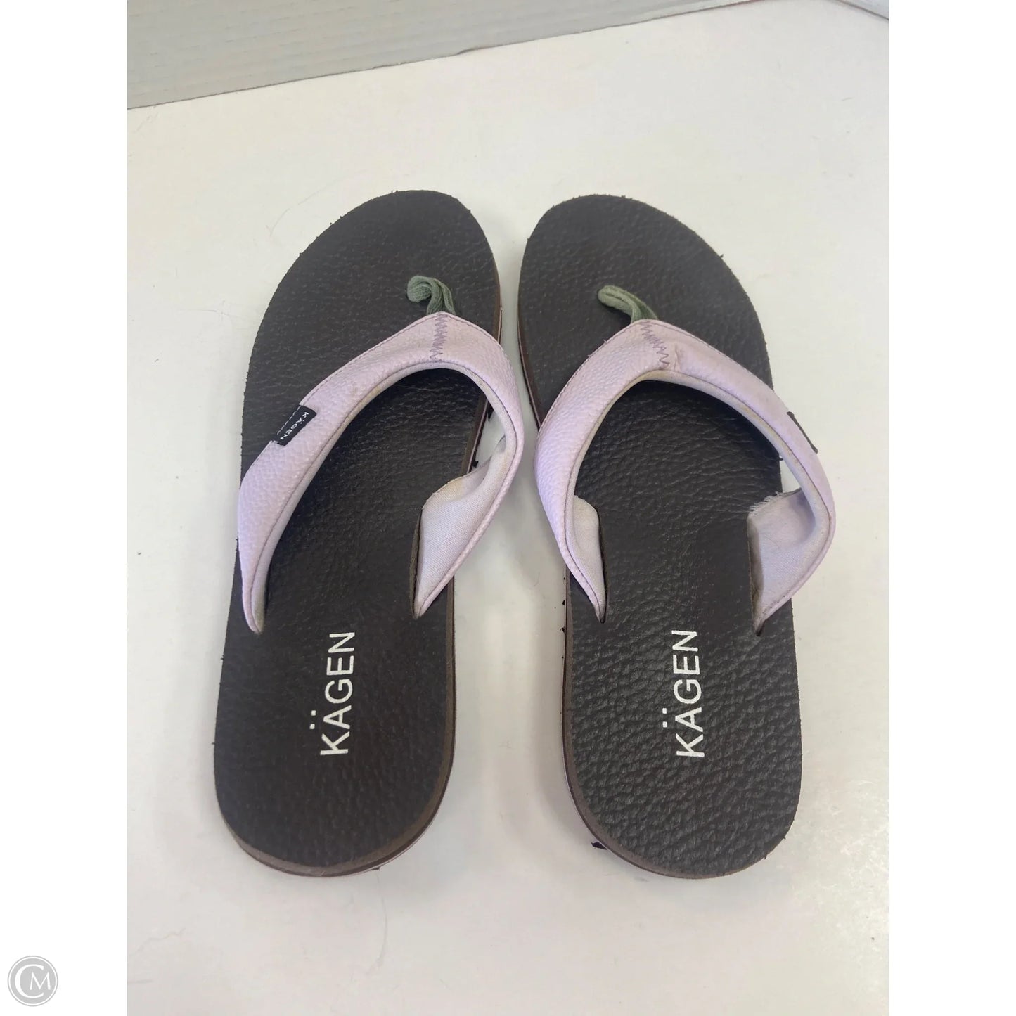 Sandals Flip Flops By Clothes Mentor In Purple, Size: 9