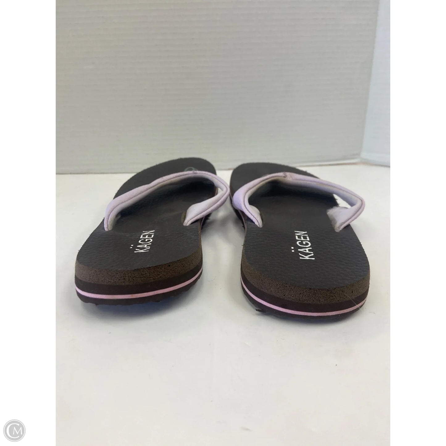 Sandals Flip Flops By Clothes Mentor In Purple, Size: 9