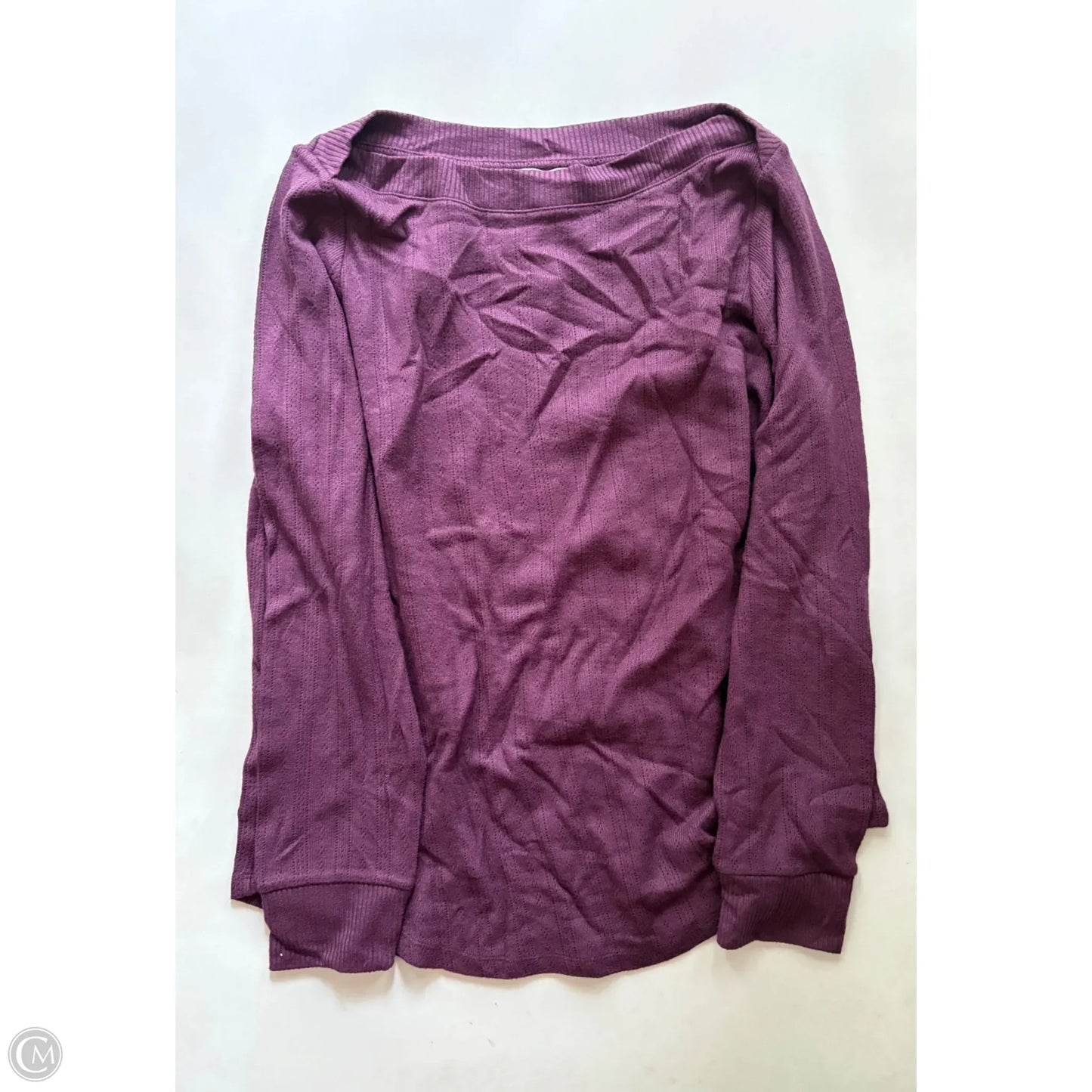 Top Long Sleeve By Loft In Purple, Size: 2x