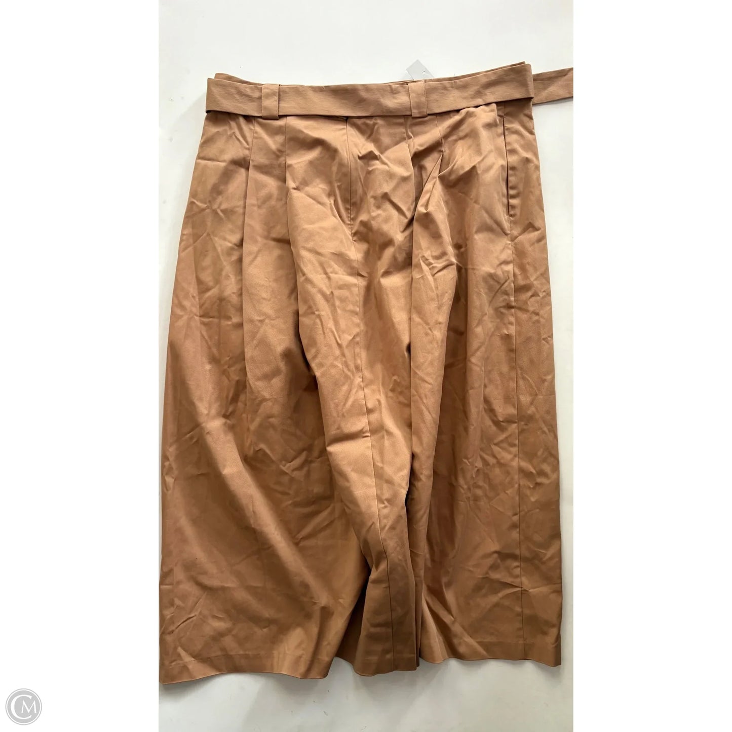 Skirt Maxi By Worthington In Brown, Size: 16