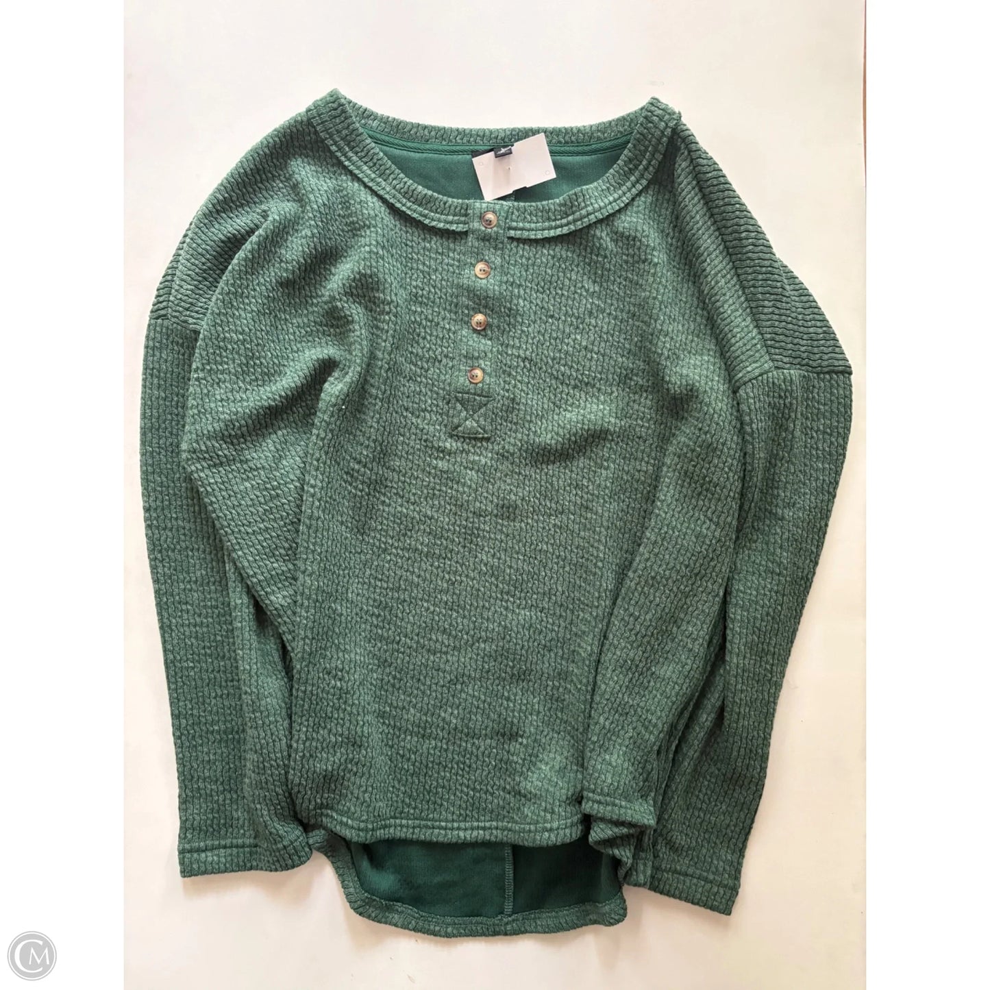 Top Long Sleeve By Blu Pepper In Green, Size: L