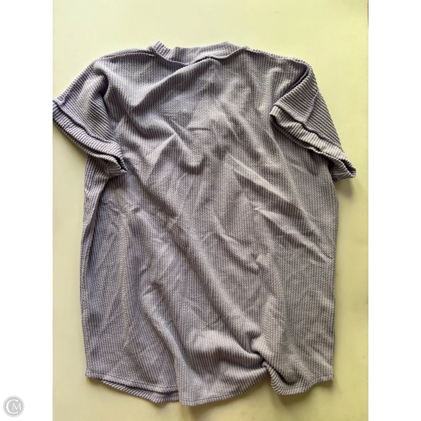 Top Short Sleeve By Heimish Usa In Purple, Size: L
