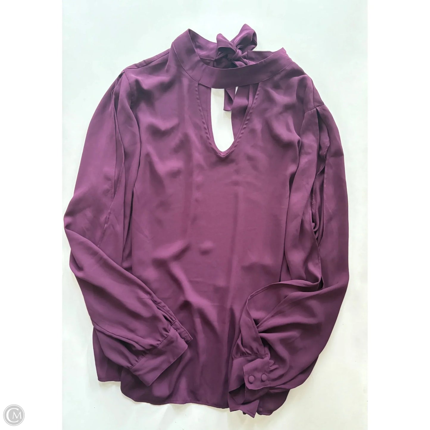 Blouse Long Sleeve By Torrid In Maroon, Size: 1x