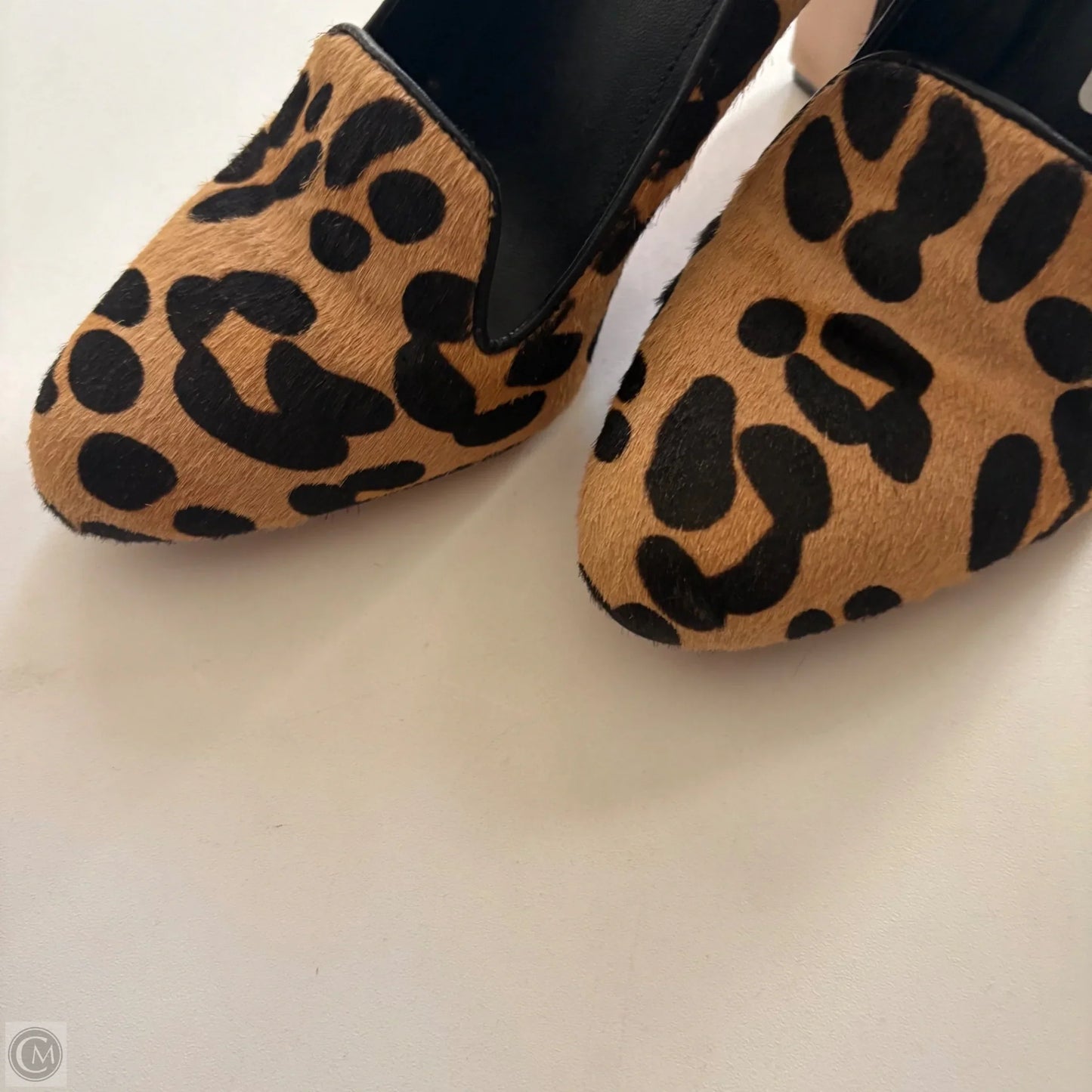 Shoes Heels Kitten By Via Spiga In Animal Print, Size: 7