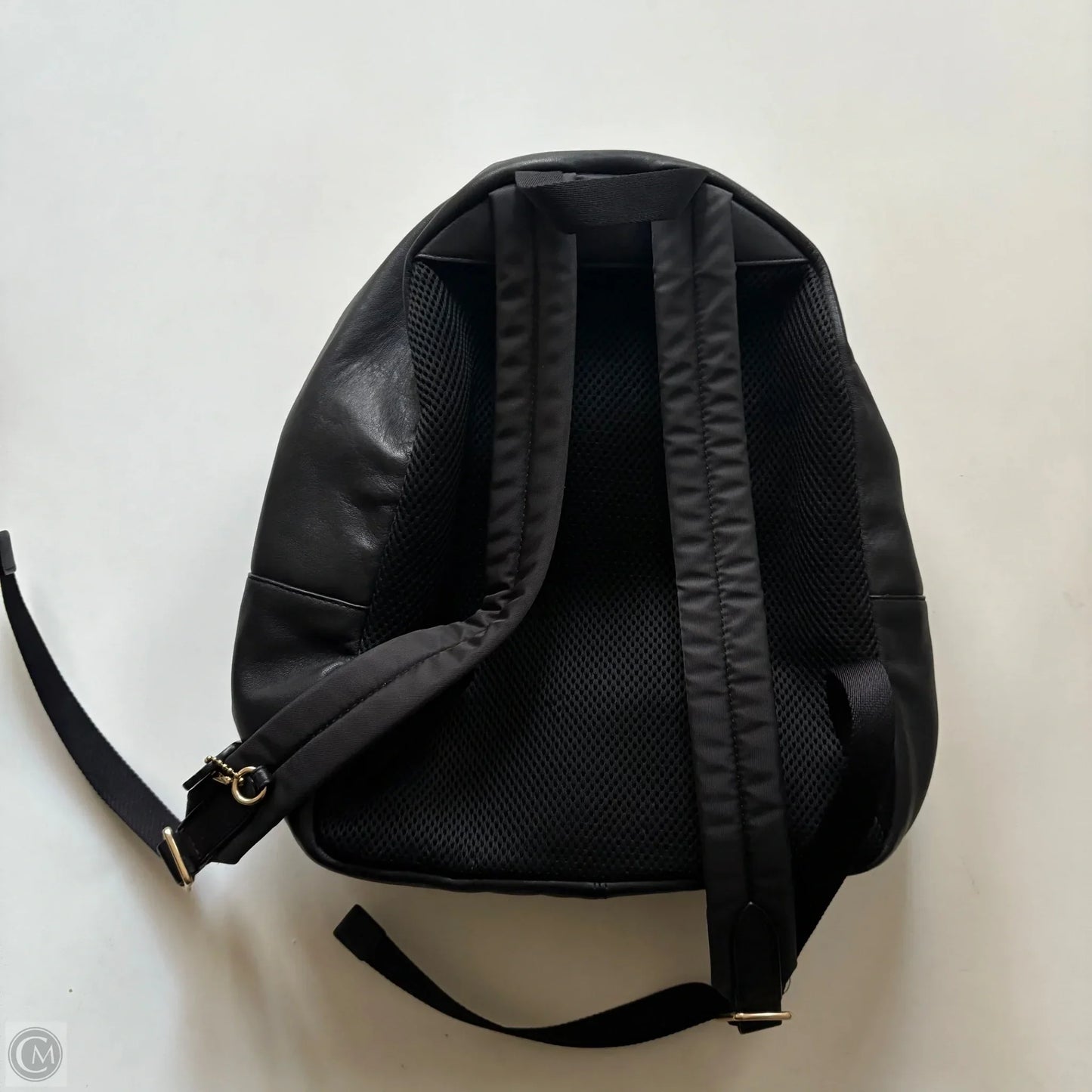 Backpack Designer By Coach, Size: Medium