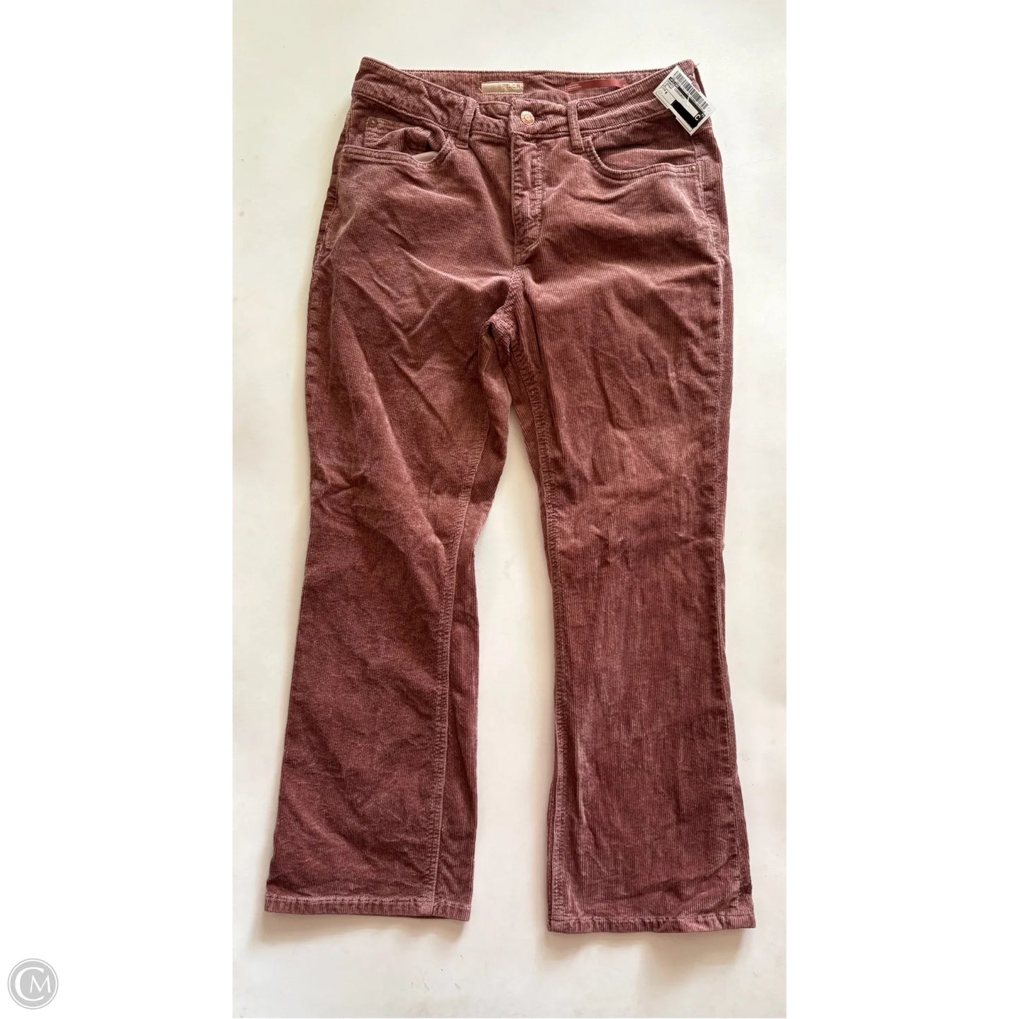 Pants Corduroy By Pilcro In Brown, Size: 8