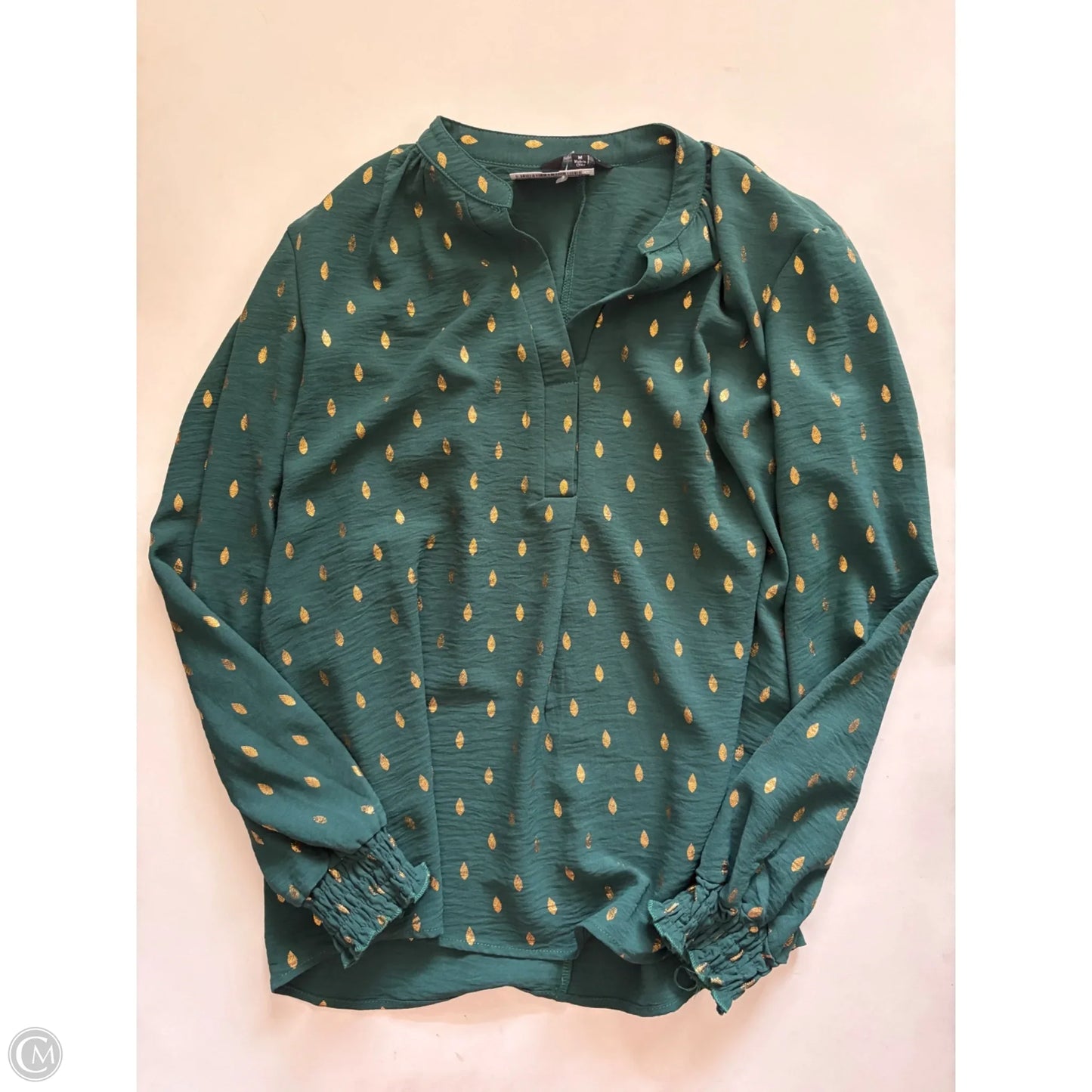 Blouse Long Sleeve By Mlle Gabrielle In Green, Size: M