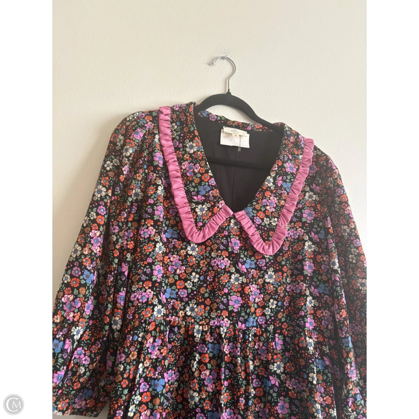 Dress Casual Short By Entro In Floral Print, Size: M