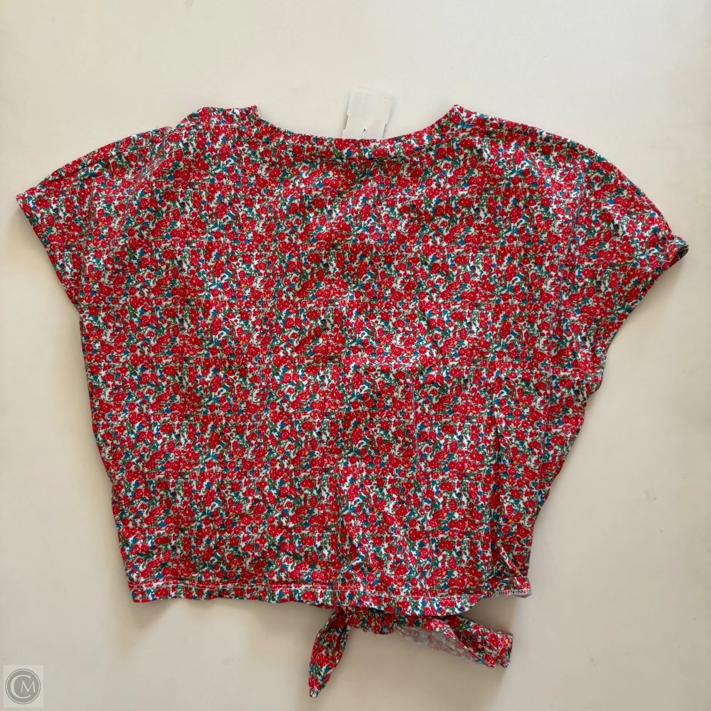 Top Sleeveless By Zara In Floral Print, Size: L