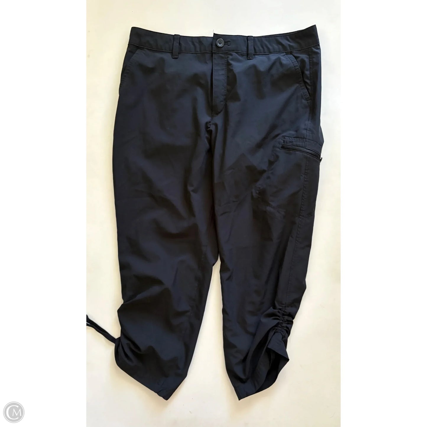 Athletic Pants By Eddie Bauer In Black, Size: 12