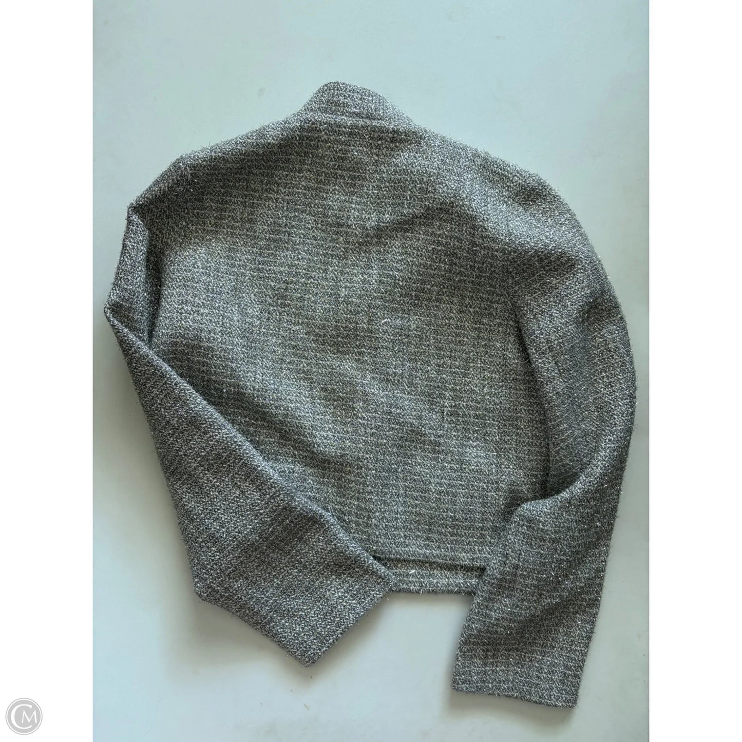 Blazer Designer By Abbey Glass In Silver, Size: S