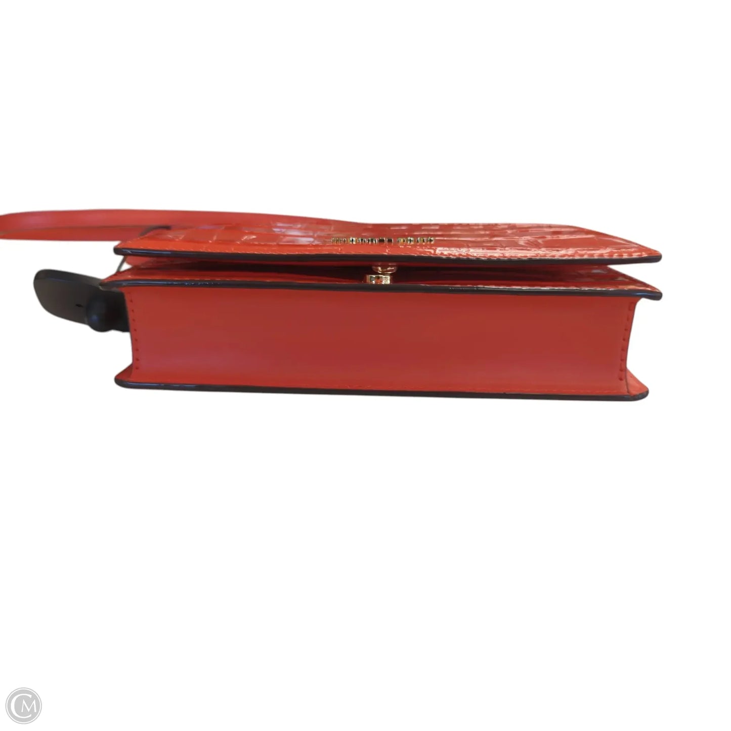 Crossbody Designer By Michael Kors, Size: Small