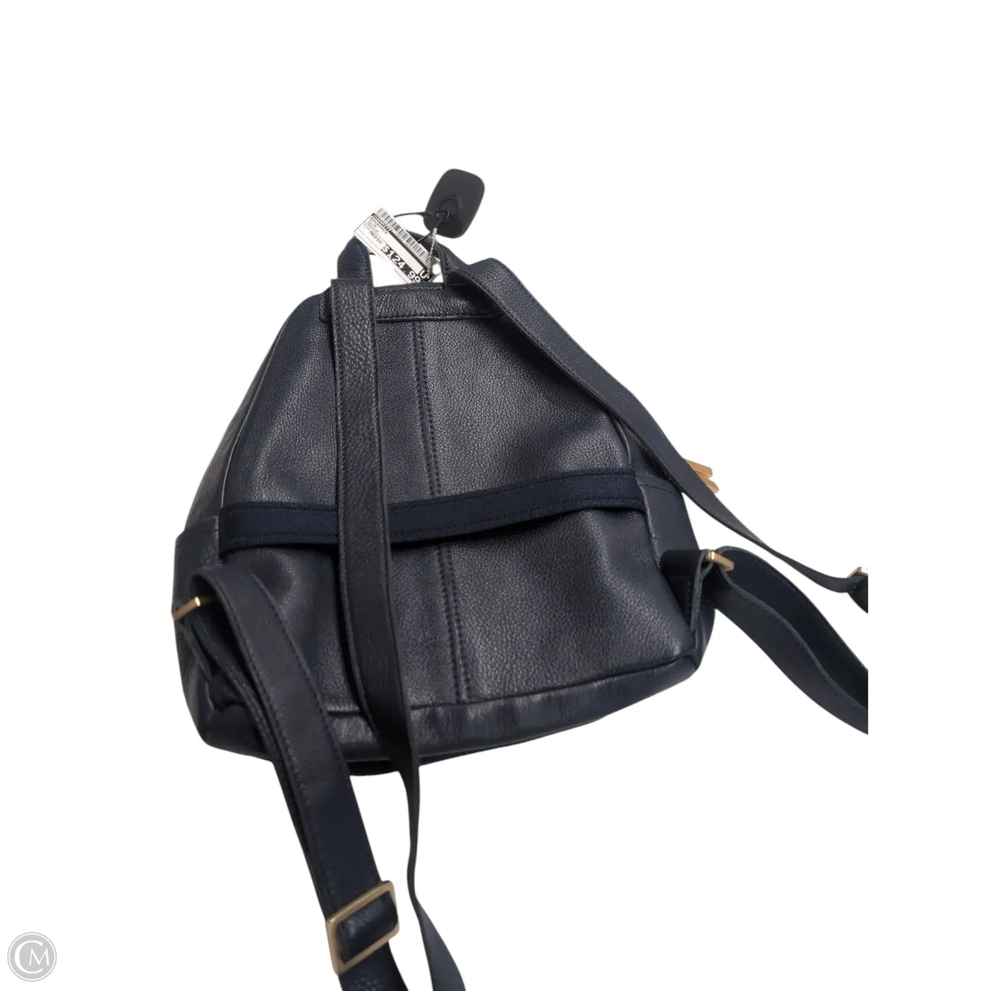 Backpack By Hammitt, Size: Medium
