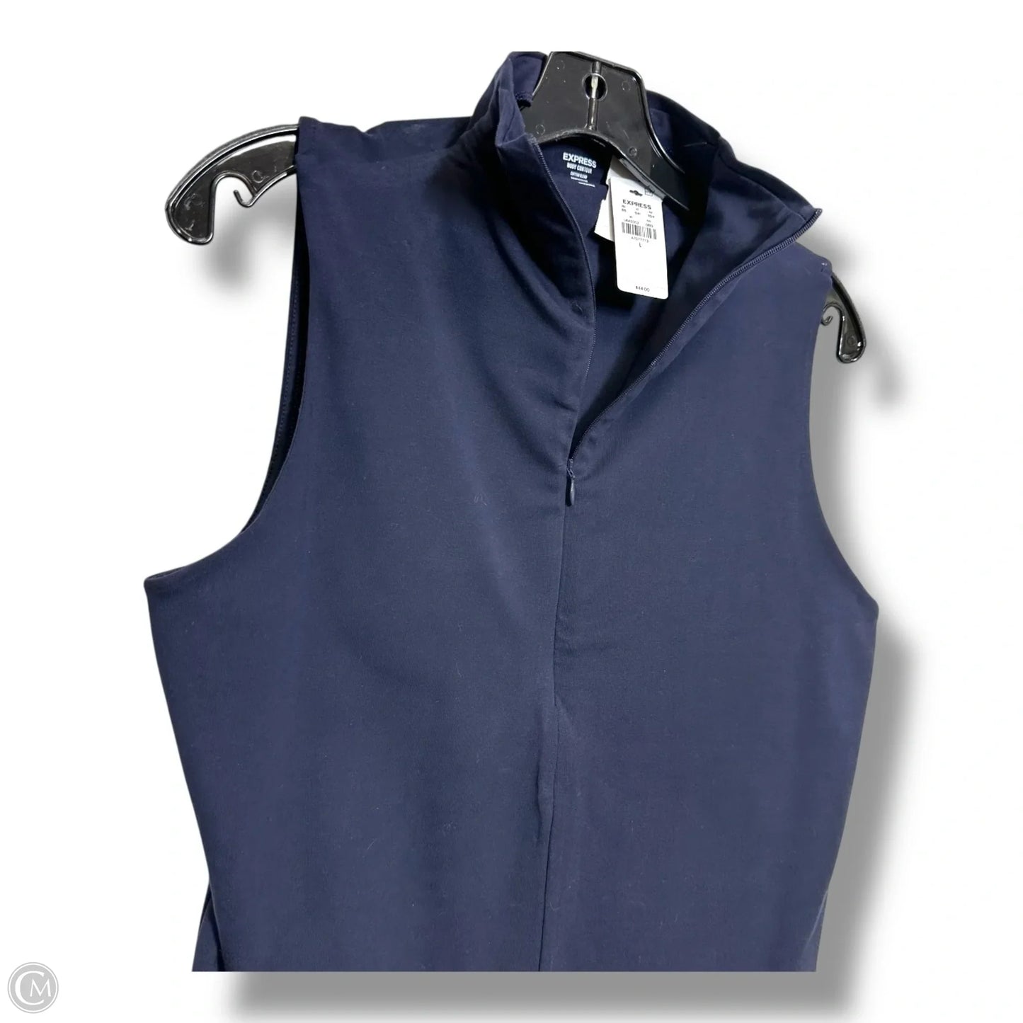 Bodysuit By Express In Navy, Size: L