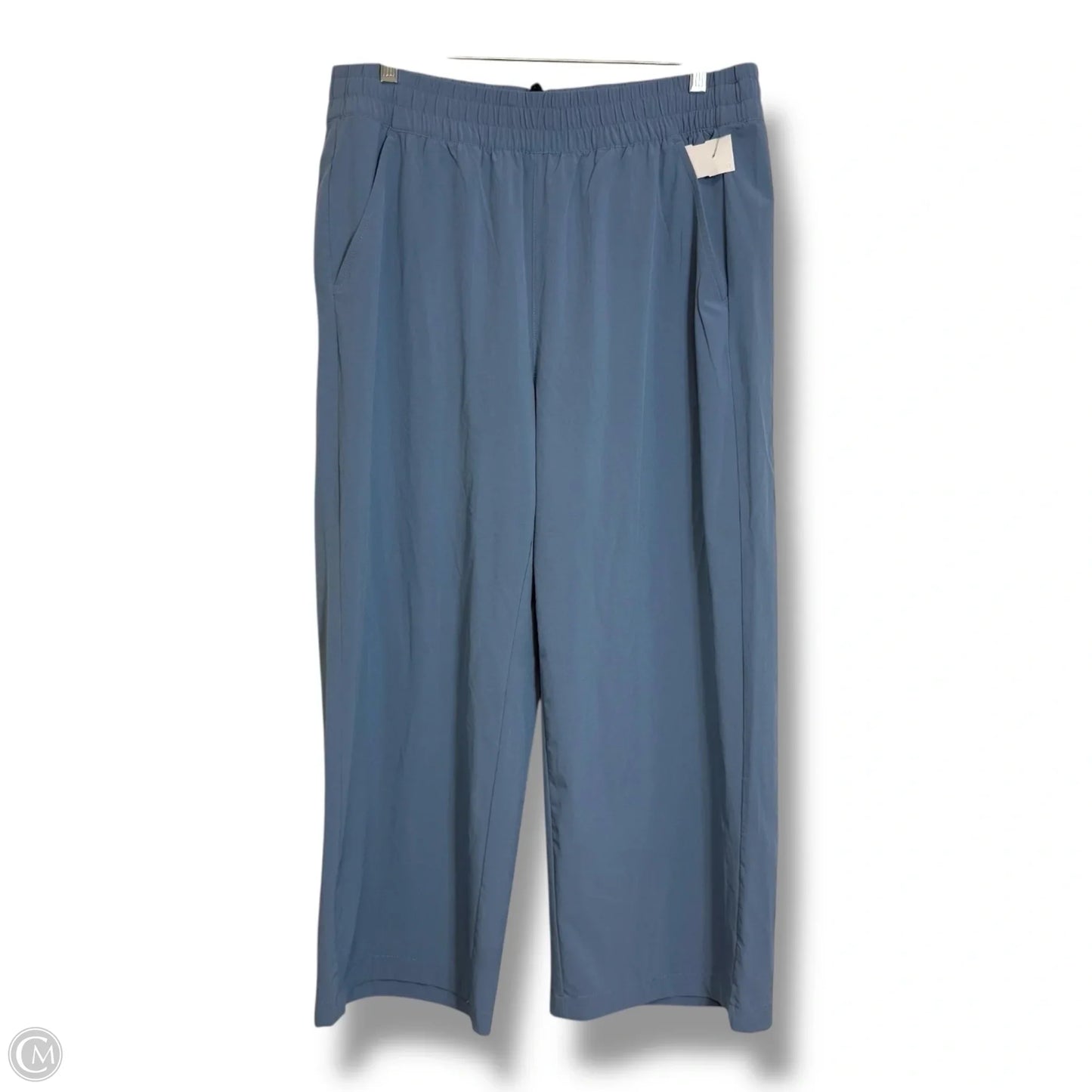 Athletic Pants By Eddie Bauer In Blue, Size: L