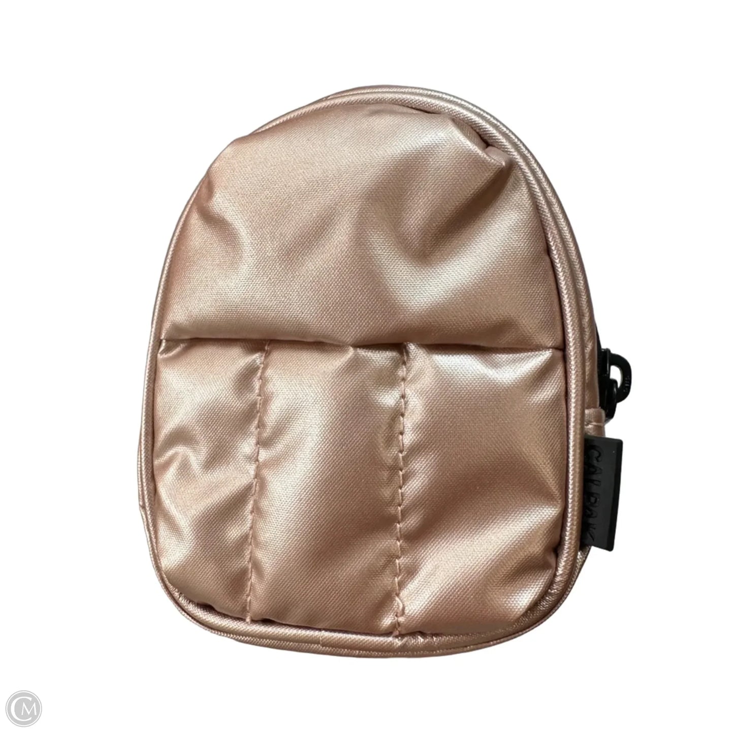 TRAVEL TOTE & keychain By CALPAK, Size: Large