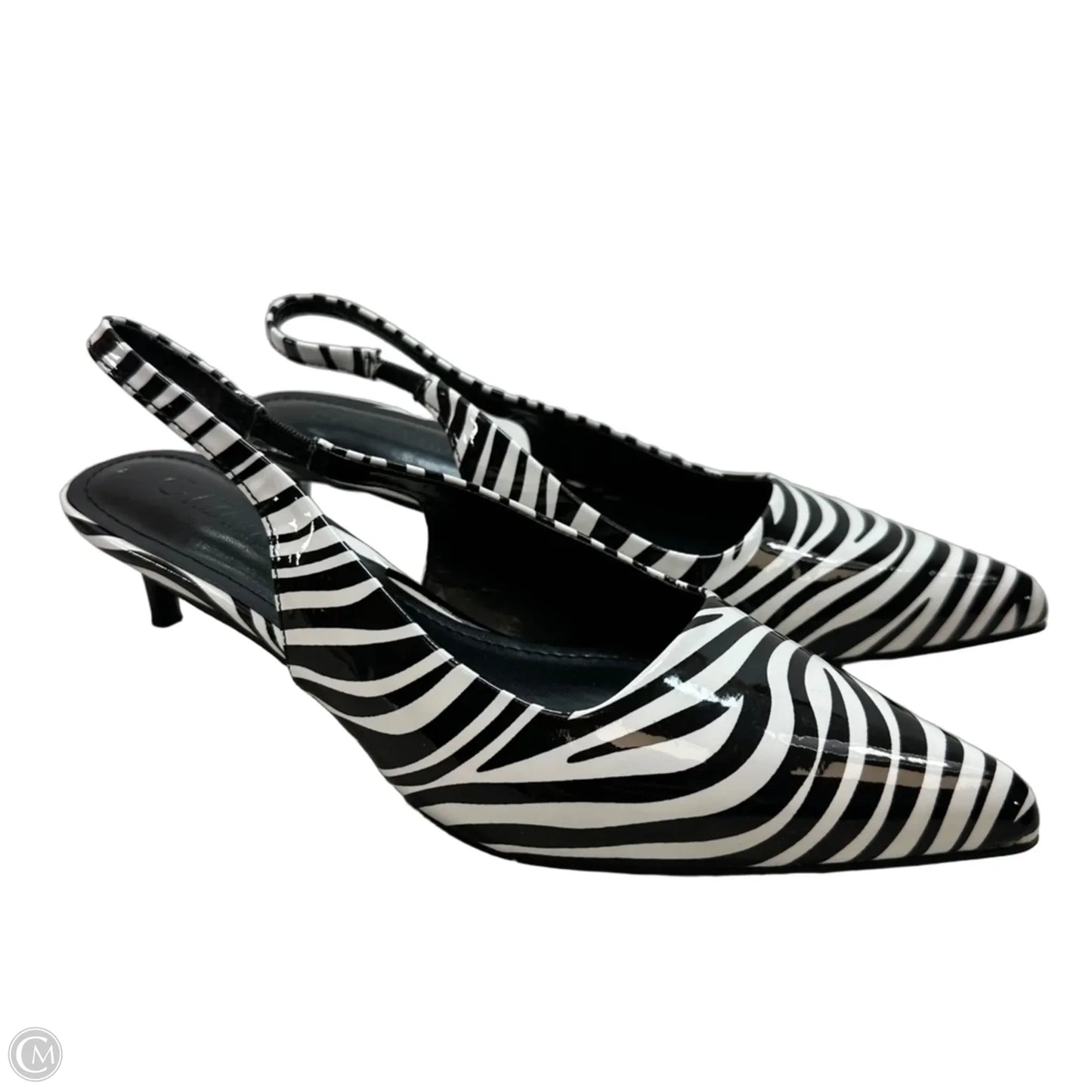Shoes Heels Kitten By Clothes Mentor In Zebra Print, Size: 7
