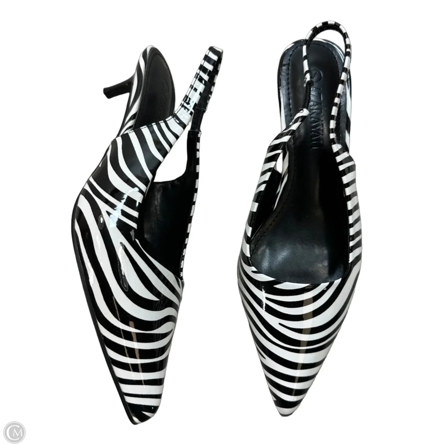 Shoes Heels Kitten By Clothes Mentor In Zebra Print, Size: 7