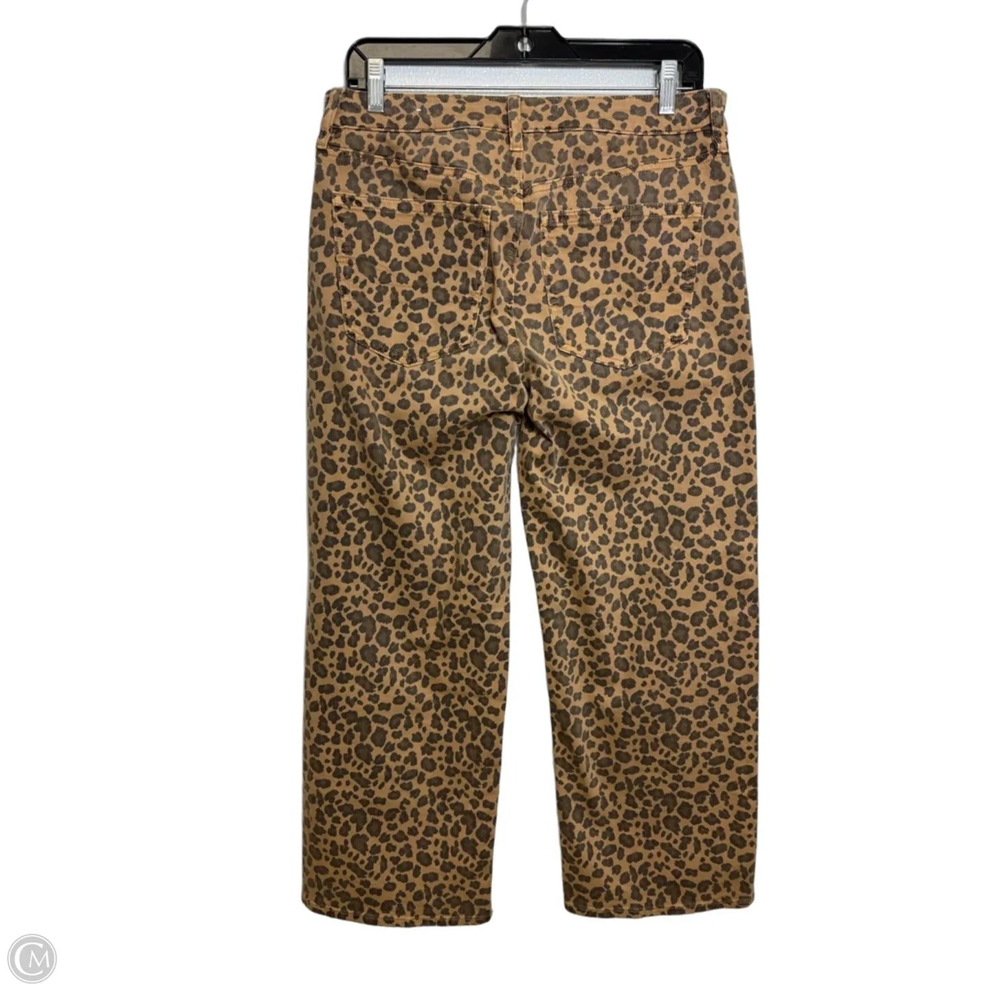 Pants Cropped By American Eagle In Animal Print, Size: 4