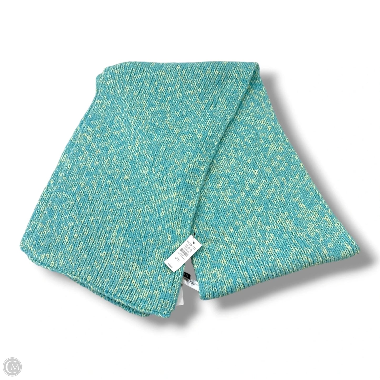 Scarf Winter By Talbots In Aqua