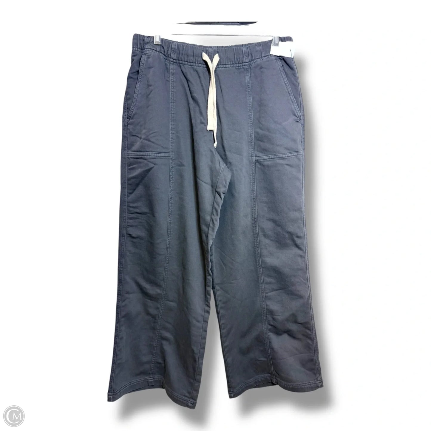 Pants Other By Aerie In Grey, Size: L
