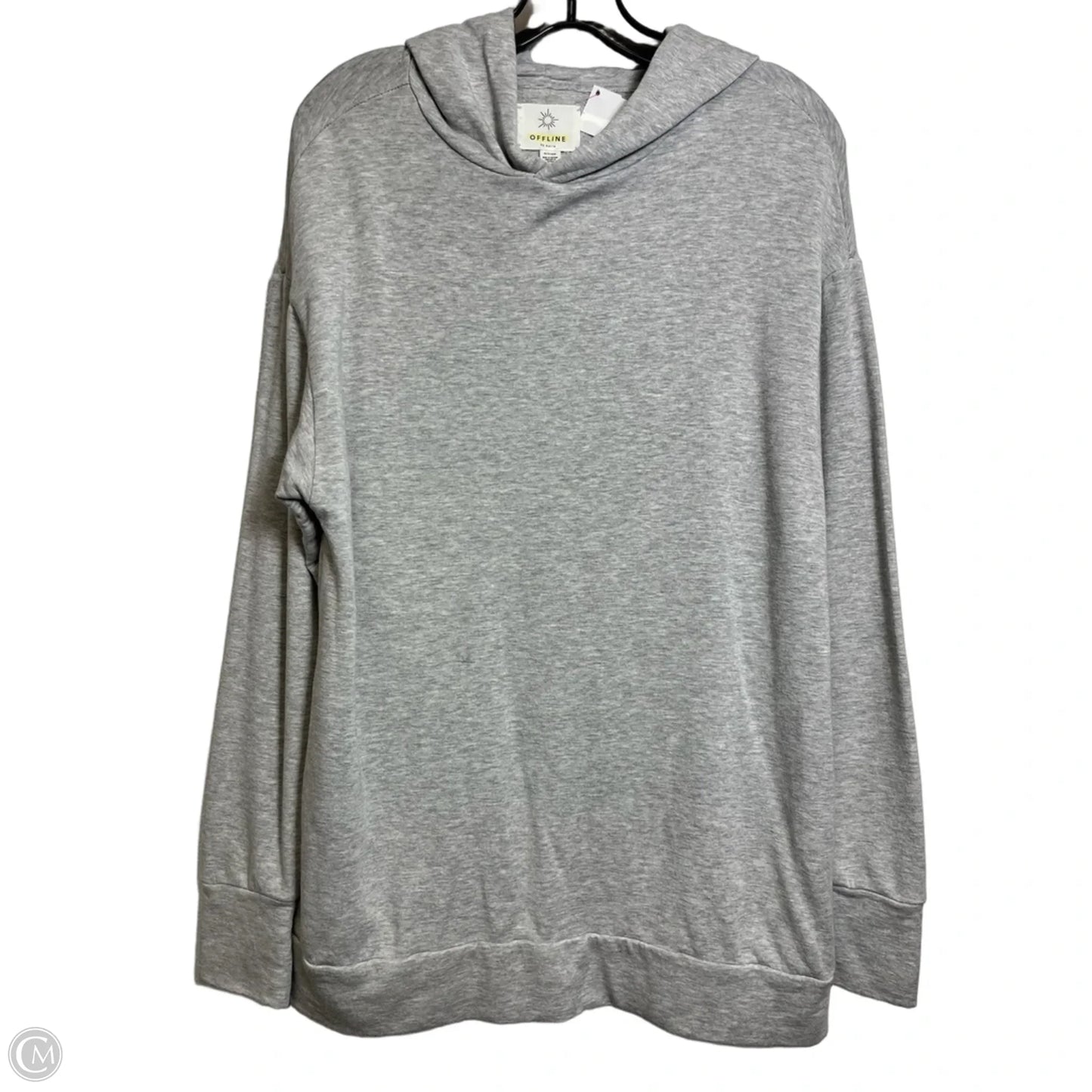 Sweatshirt Hoodie By Aerie In Grey, Size: Xs