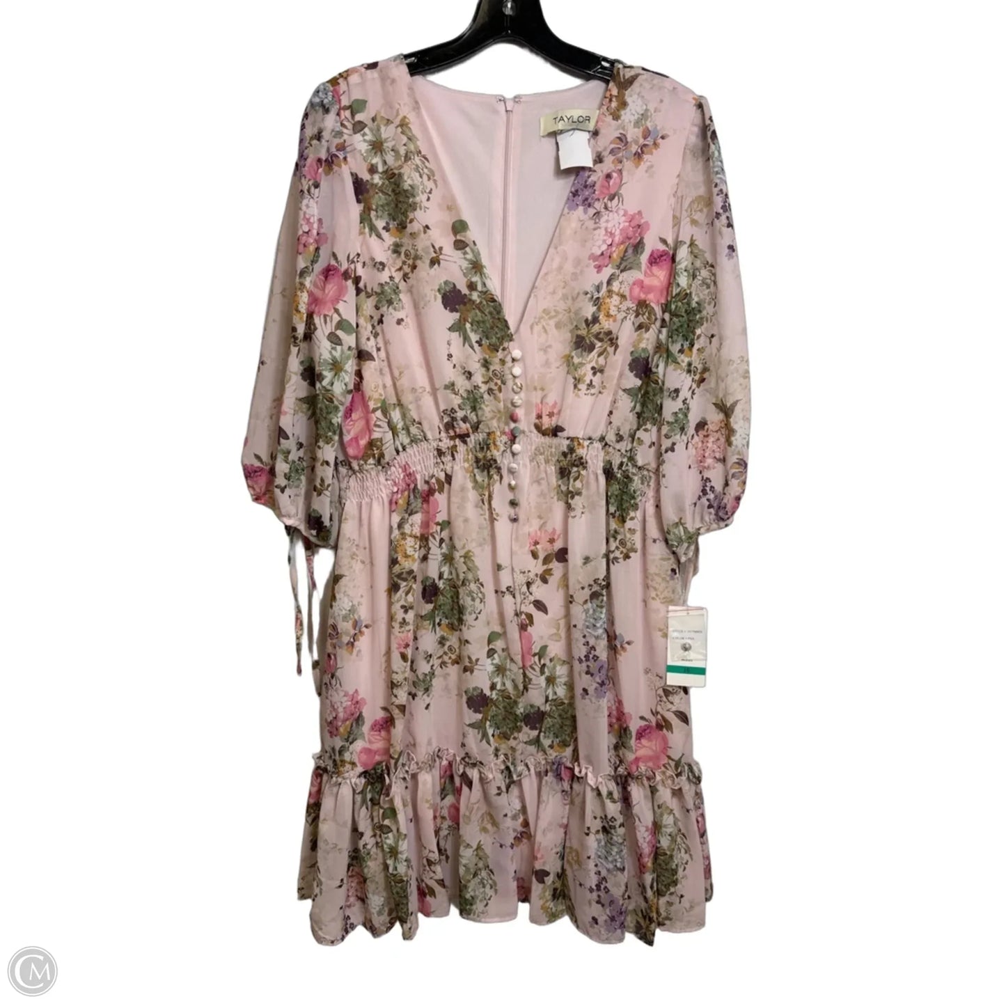 Dress Casual Short By Taylor In Floral Print, Size: Xl
