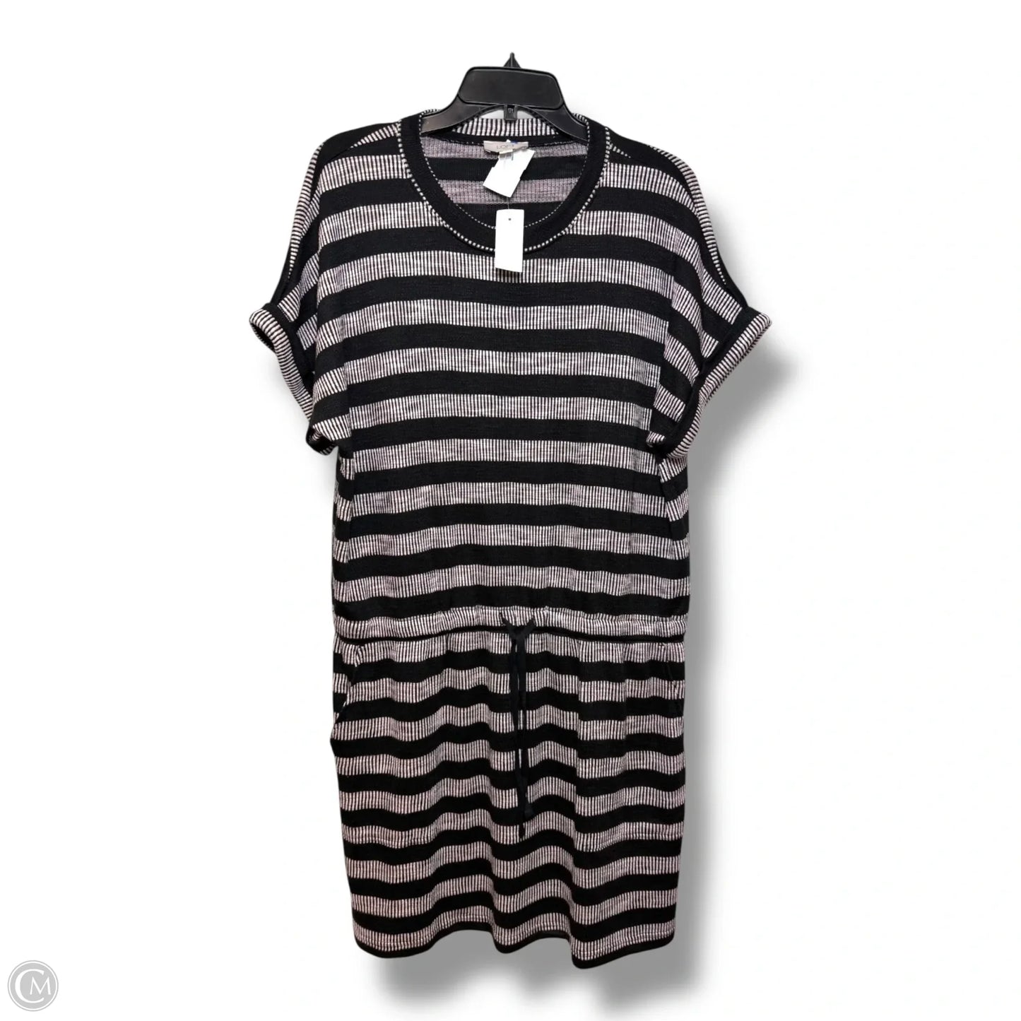 Dress Casual Short By Loft In Striped Pattern, Size: Xl