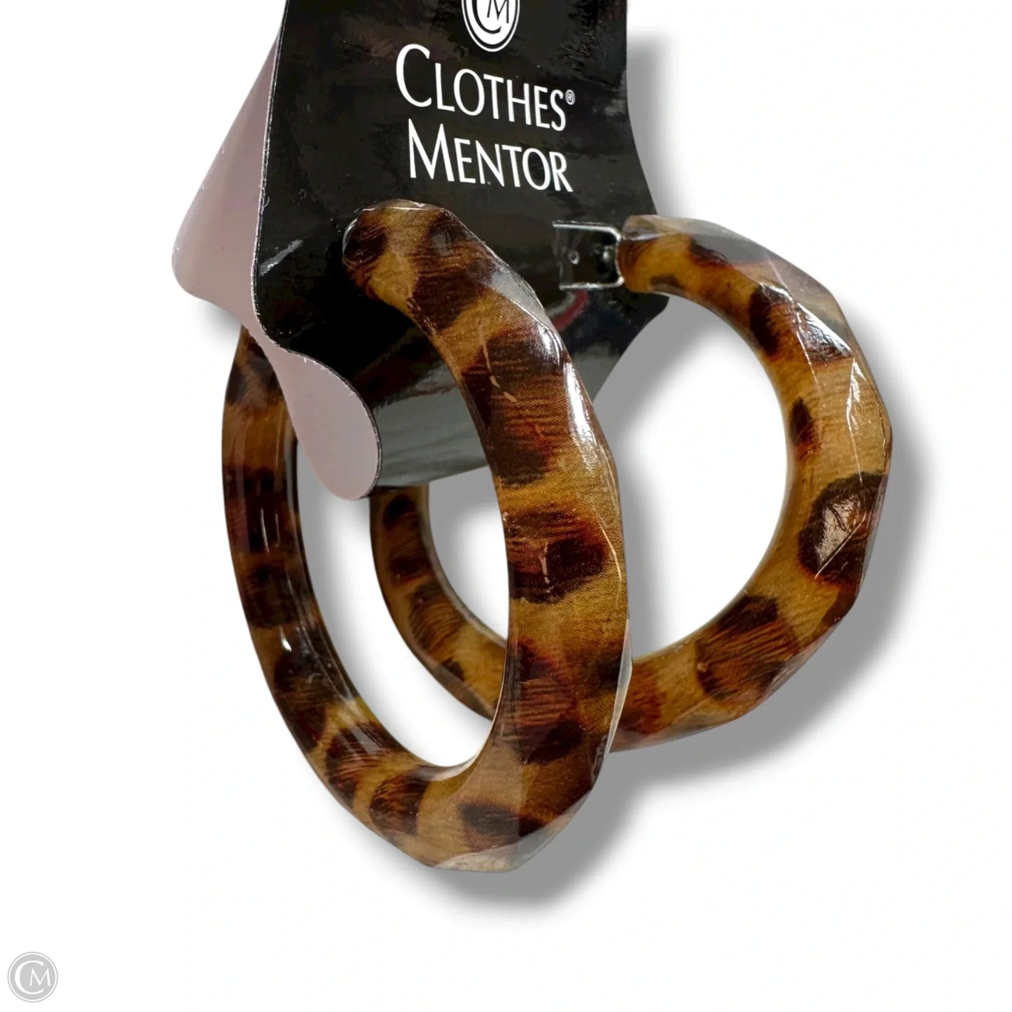 Earrings Hoop By Cme