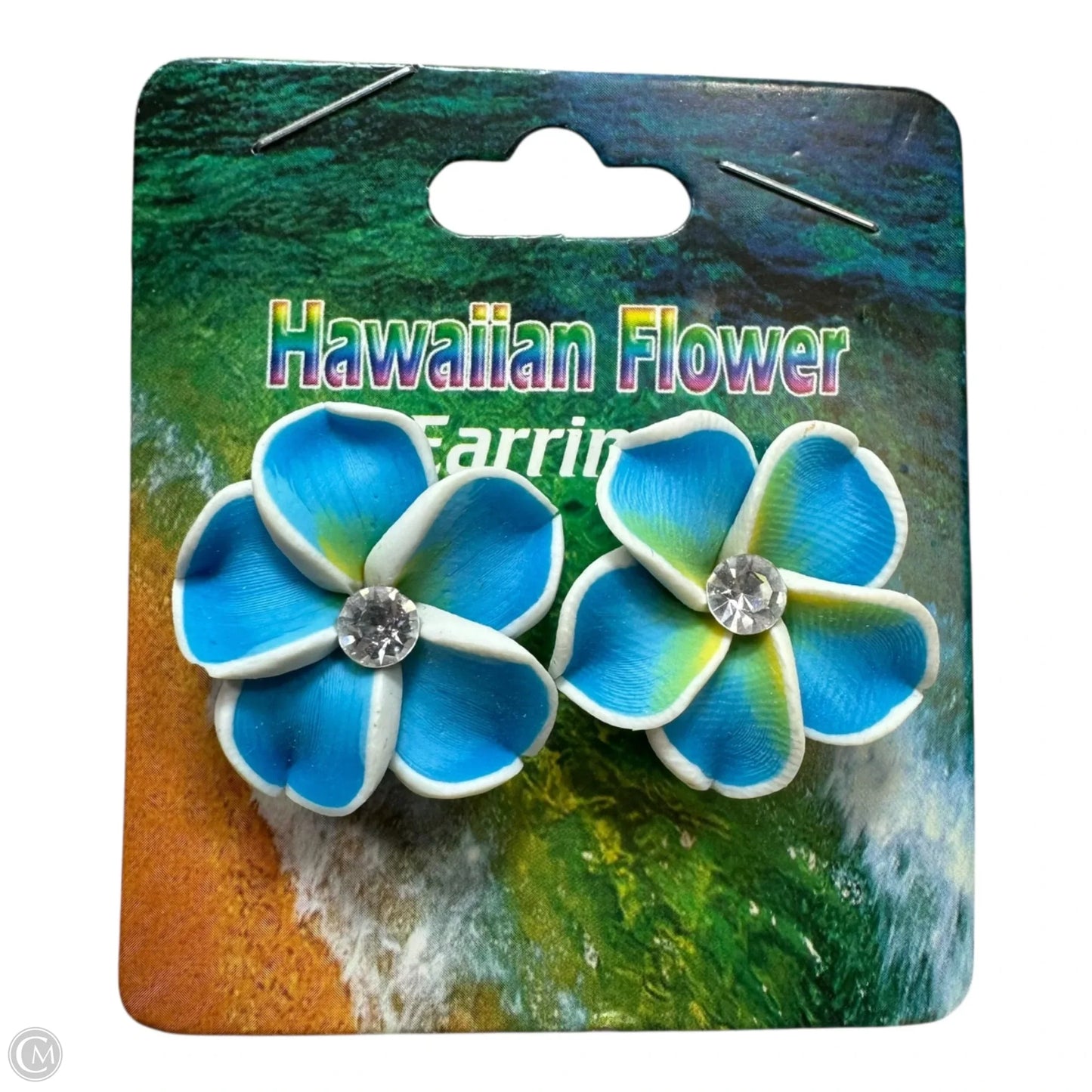 Earrings Other By Clothes Mentor