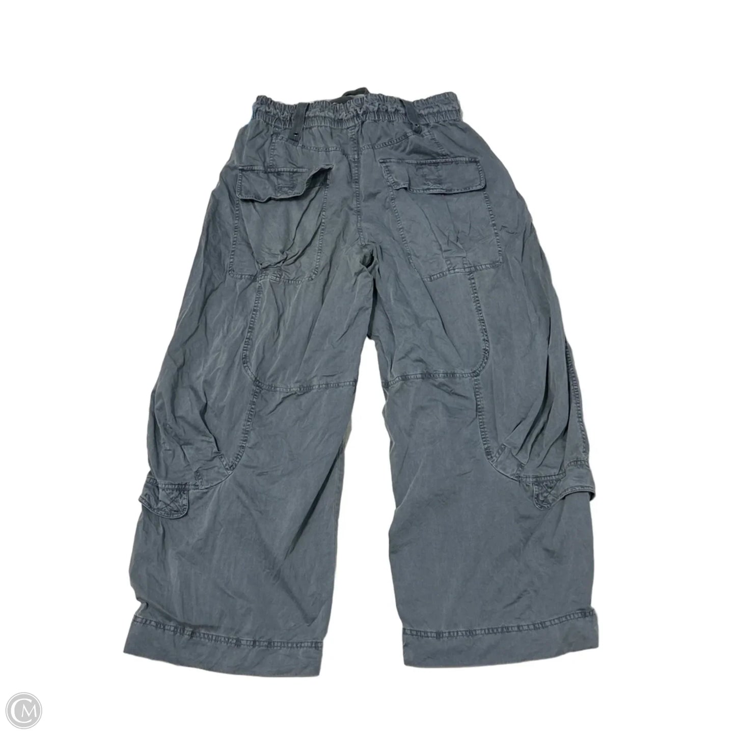 Pants Cargo & Utility By Free People In Grey, Size: L