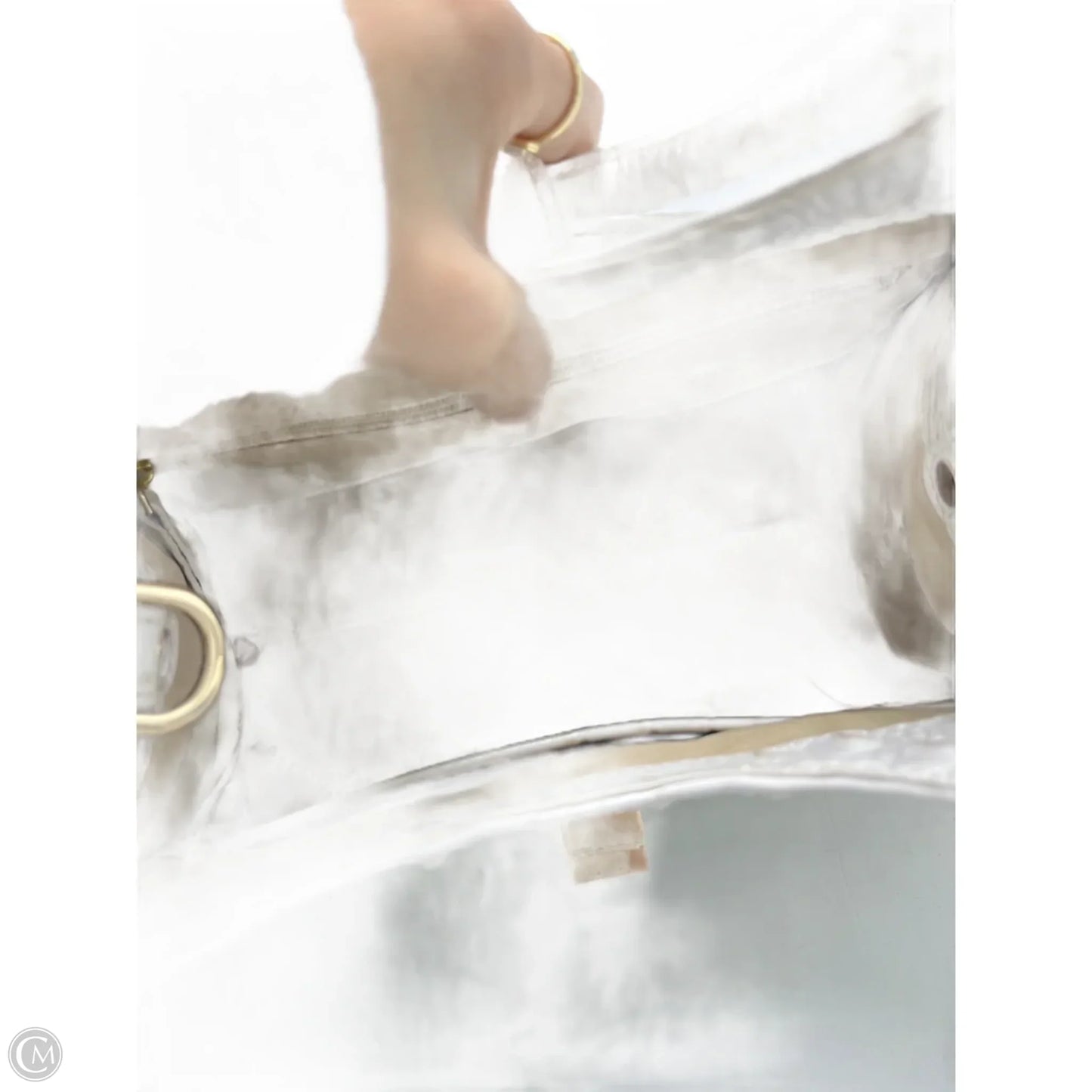 Handbag Designer By Brahmin