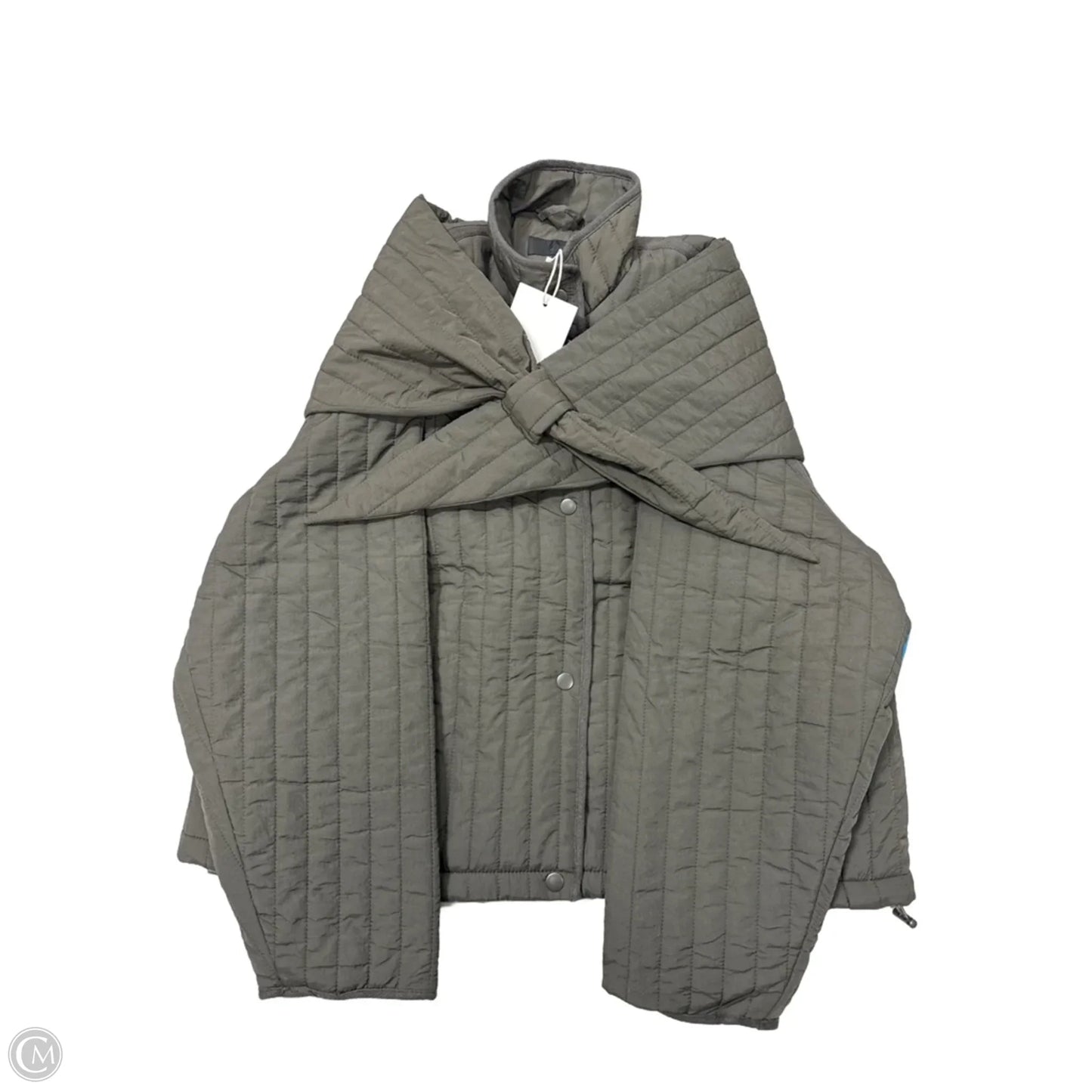 New! Coat Parka By Zara In Grey, Size: L