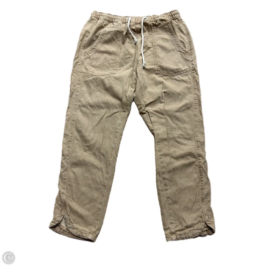 Pants Cargo & Utility By Pilcro In Tortoise Shell Print, Size: M