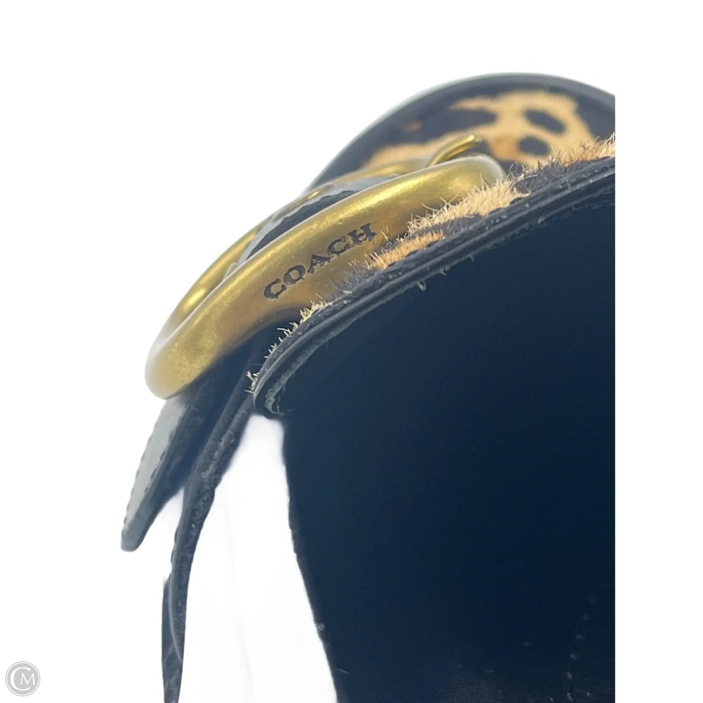 Shoes Designer By Coach In Animal Print, Size: 6