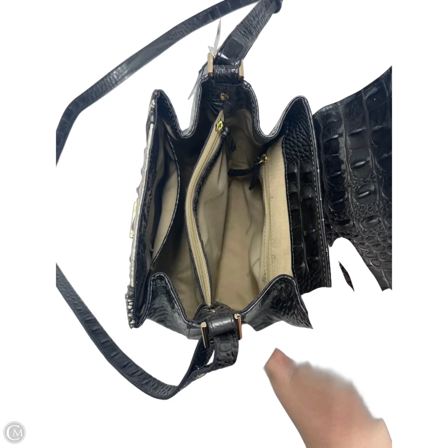 Crossbody Designer By Brahmin, Size: Medium