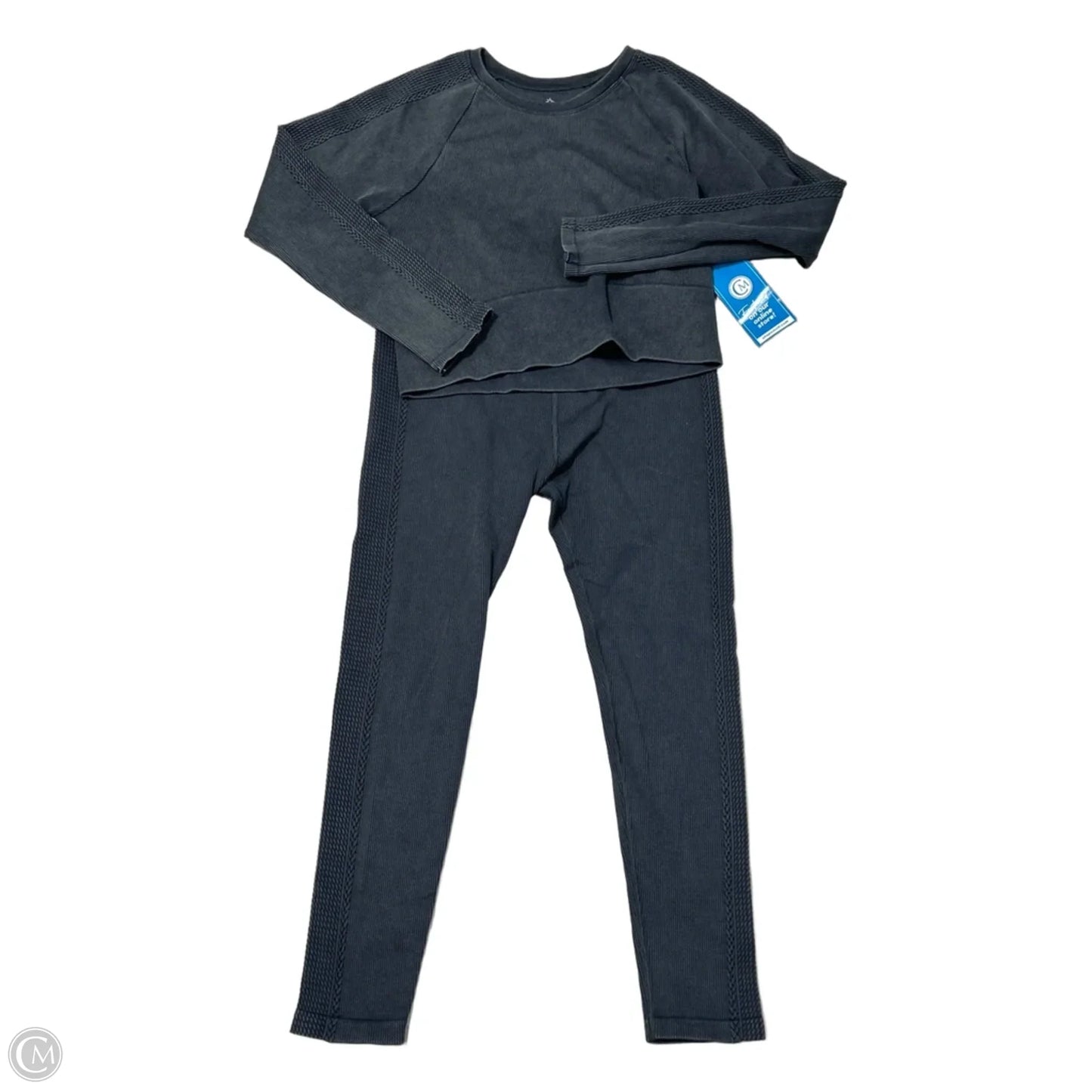Athletic Pants 2pc By Aerie In Grey, Size: L