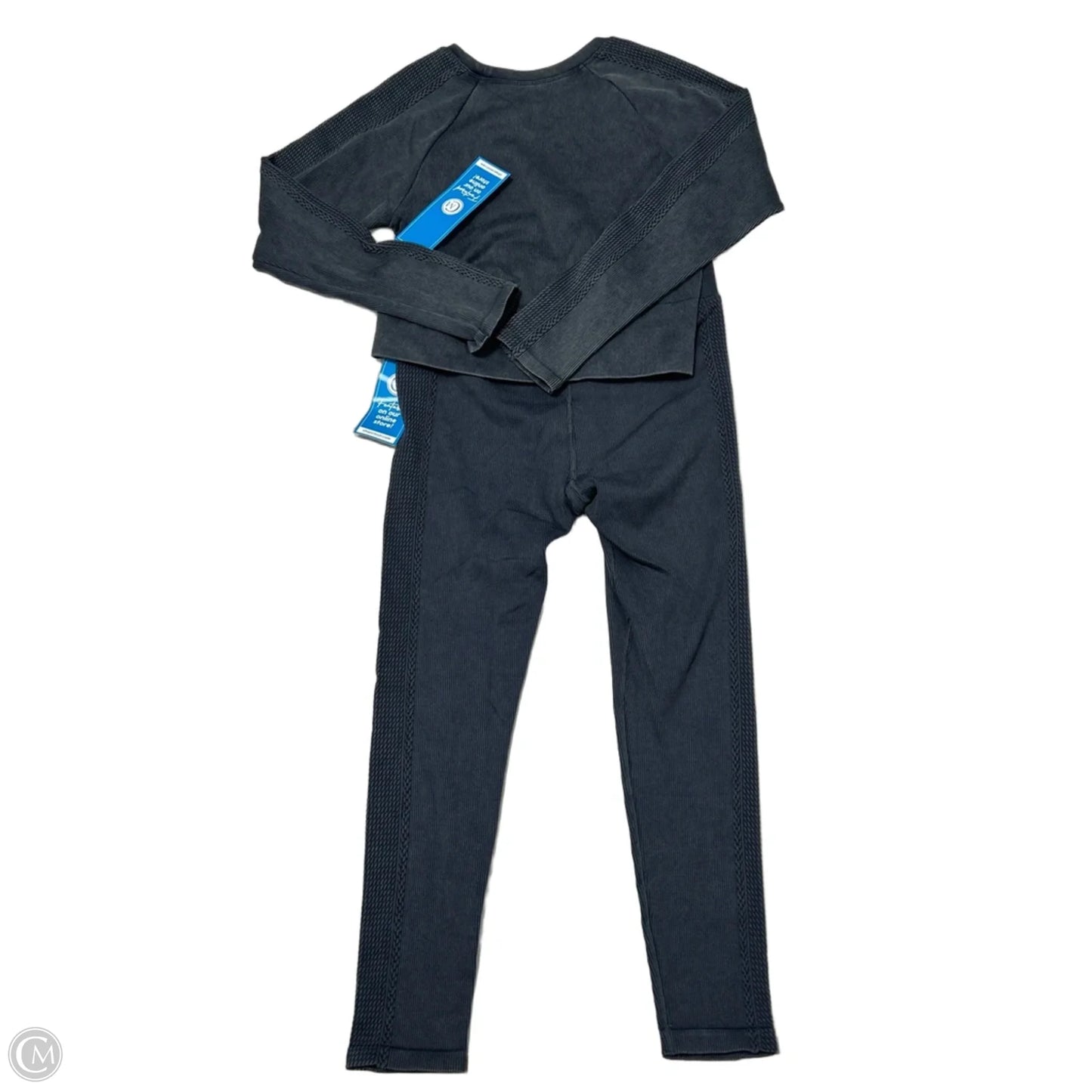 Athletic Pants 2pc By Aerie In Grey, Size: L