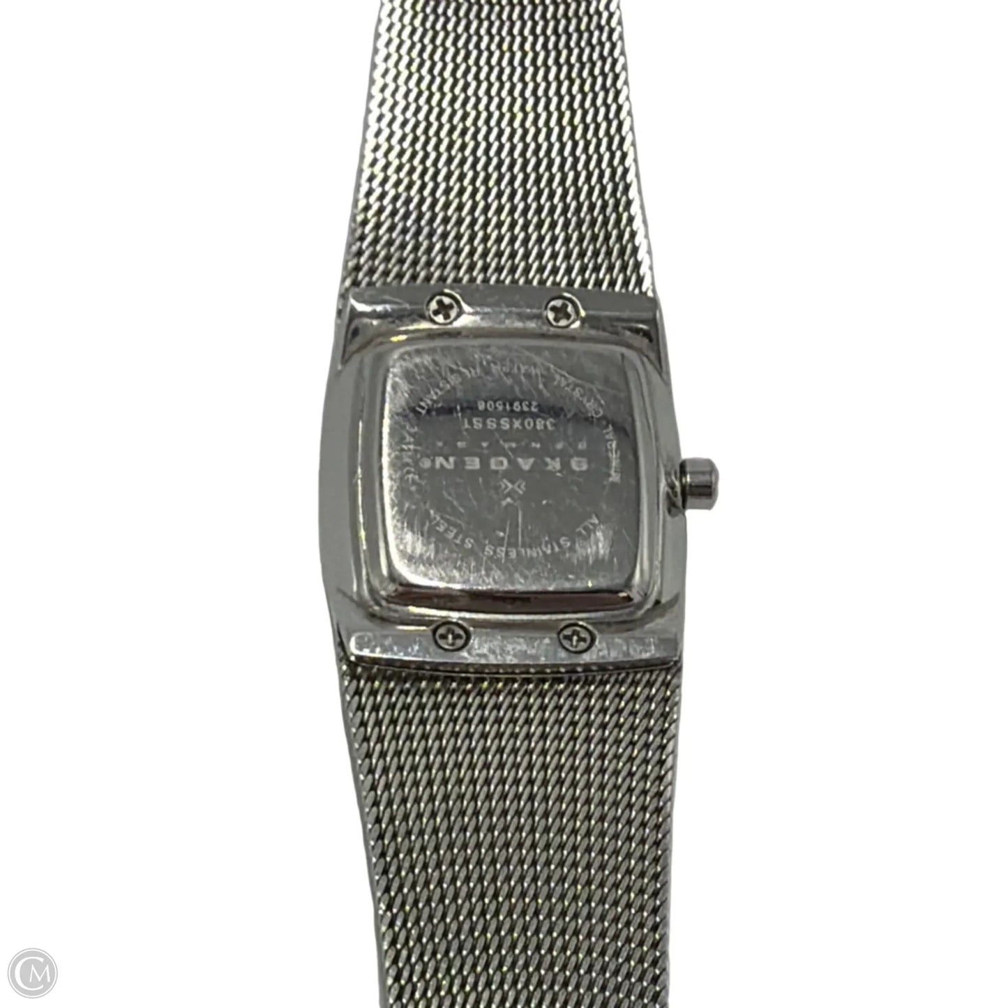 Skagen Denmark Mesh Designer Watch