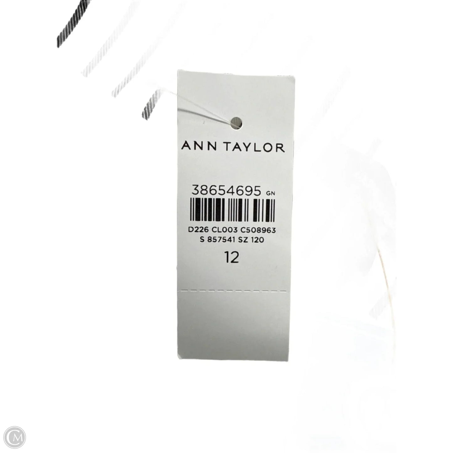 New! Pants Wide Leg By Ann Taylor In Striped Pattern, Size: 12